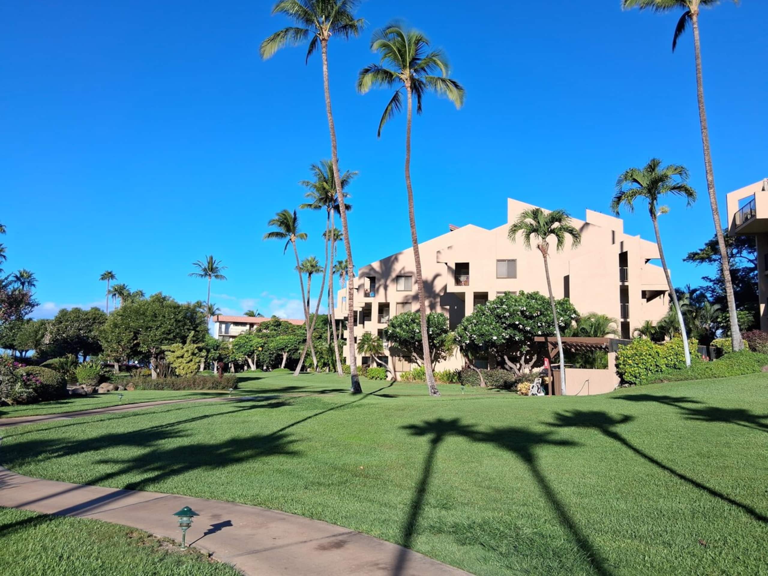 Colorful Kihei Condo Across the Street from Beach - Photo 30