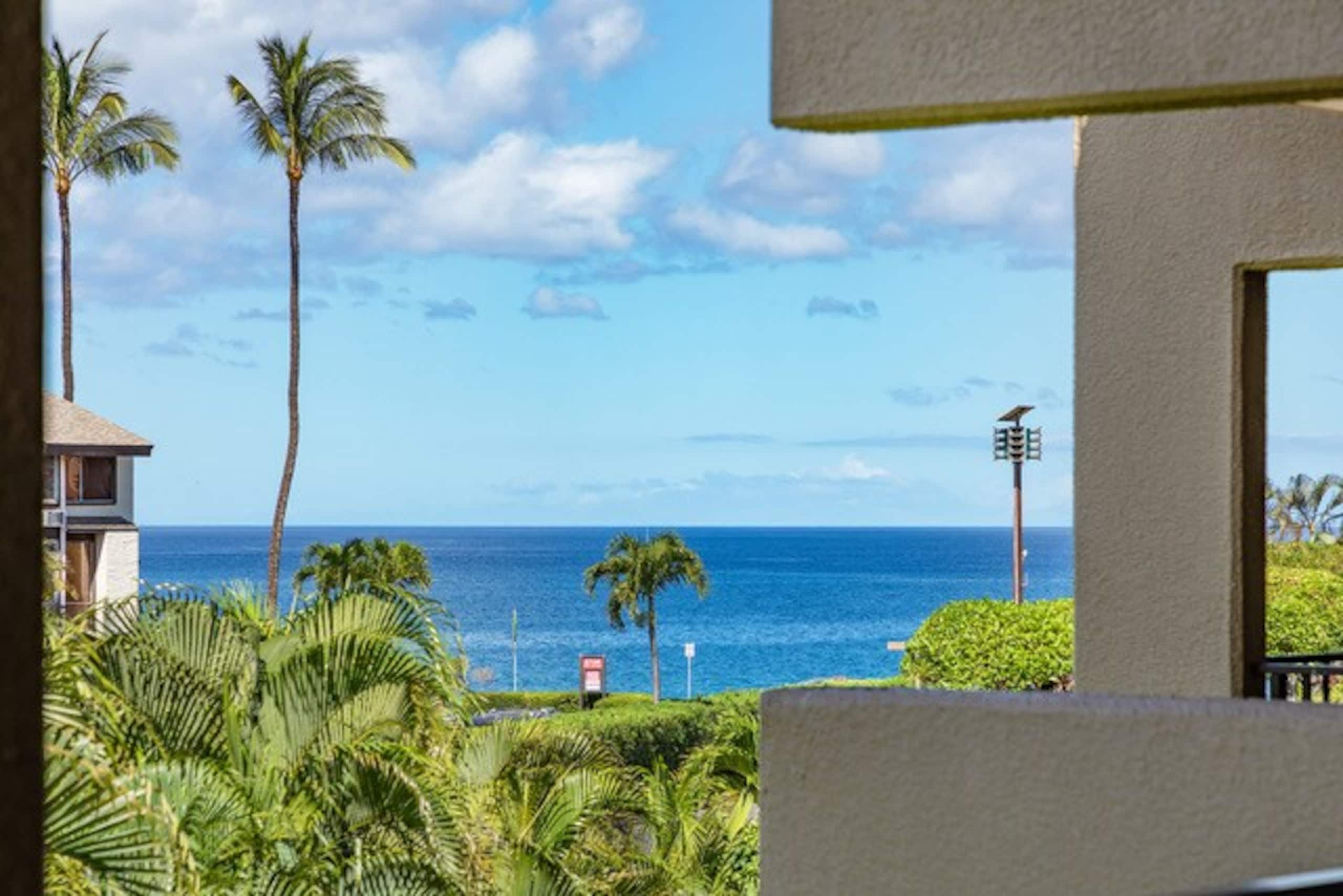 Colorful Kihei Condo Across the Street from Beach - Photo 31