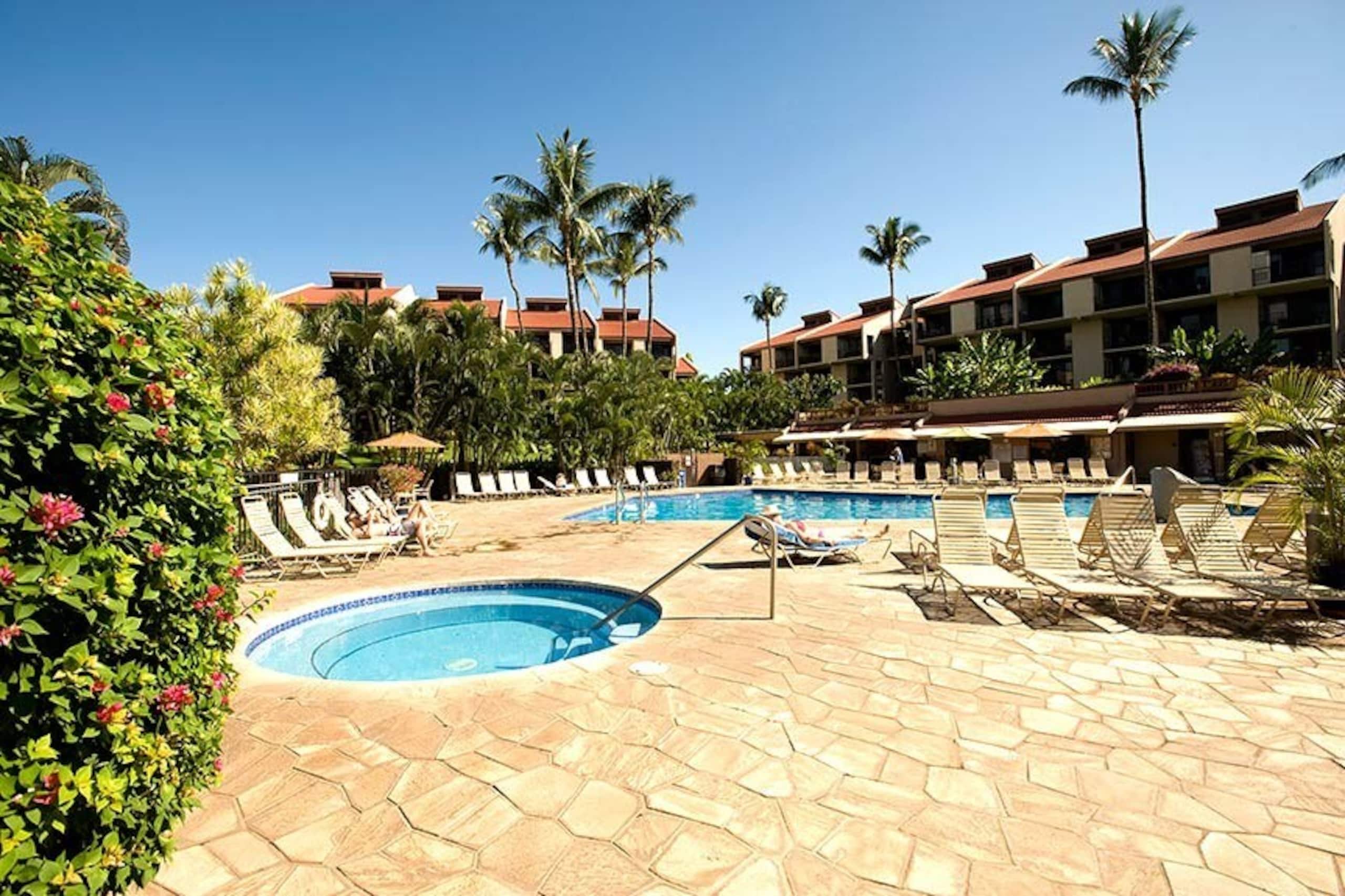 Colorful Kihei Condo Across the Street from Beach - Photo 24