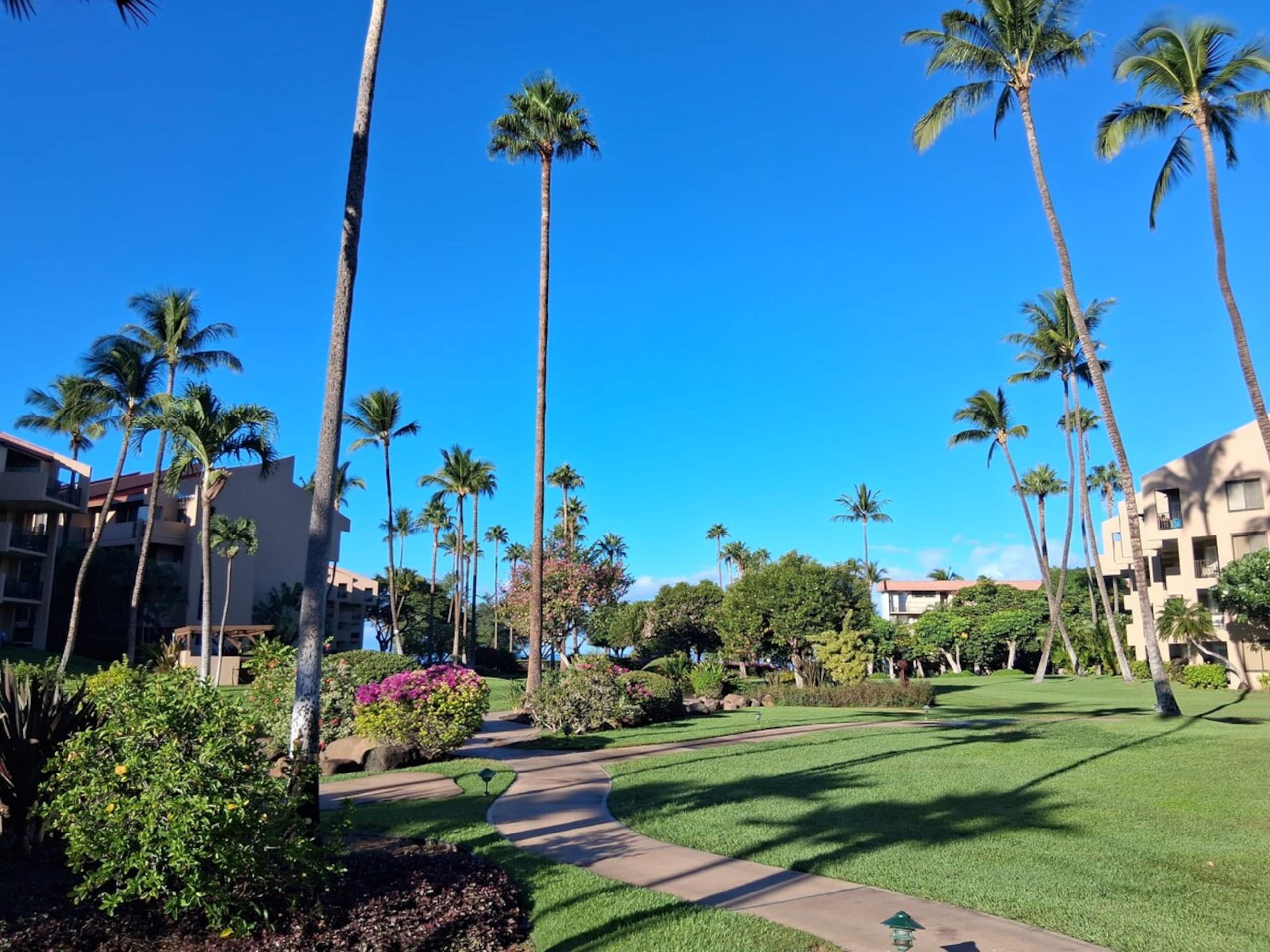 Colorful Kihei Condo Across the Street from Beach - Photo 29