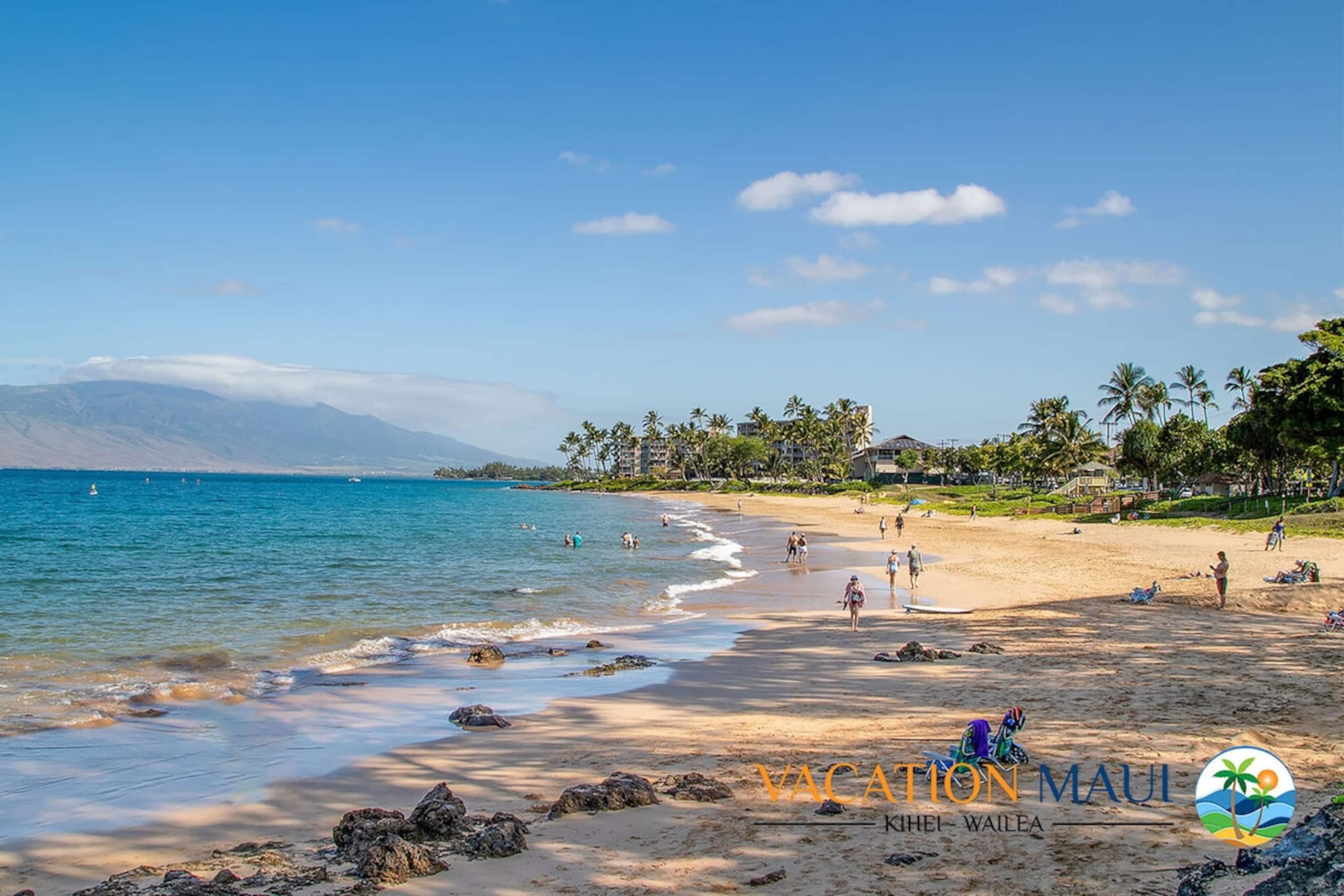 Kihei Akahi D-G04, Renovated, Split AC, No Carpet - Photo 41