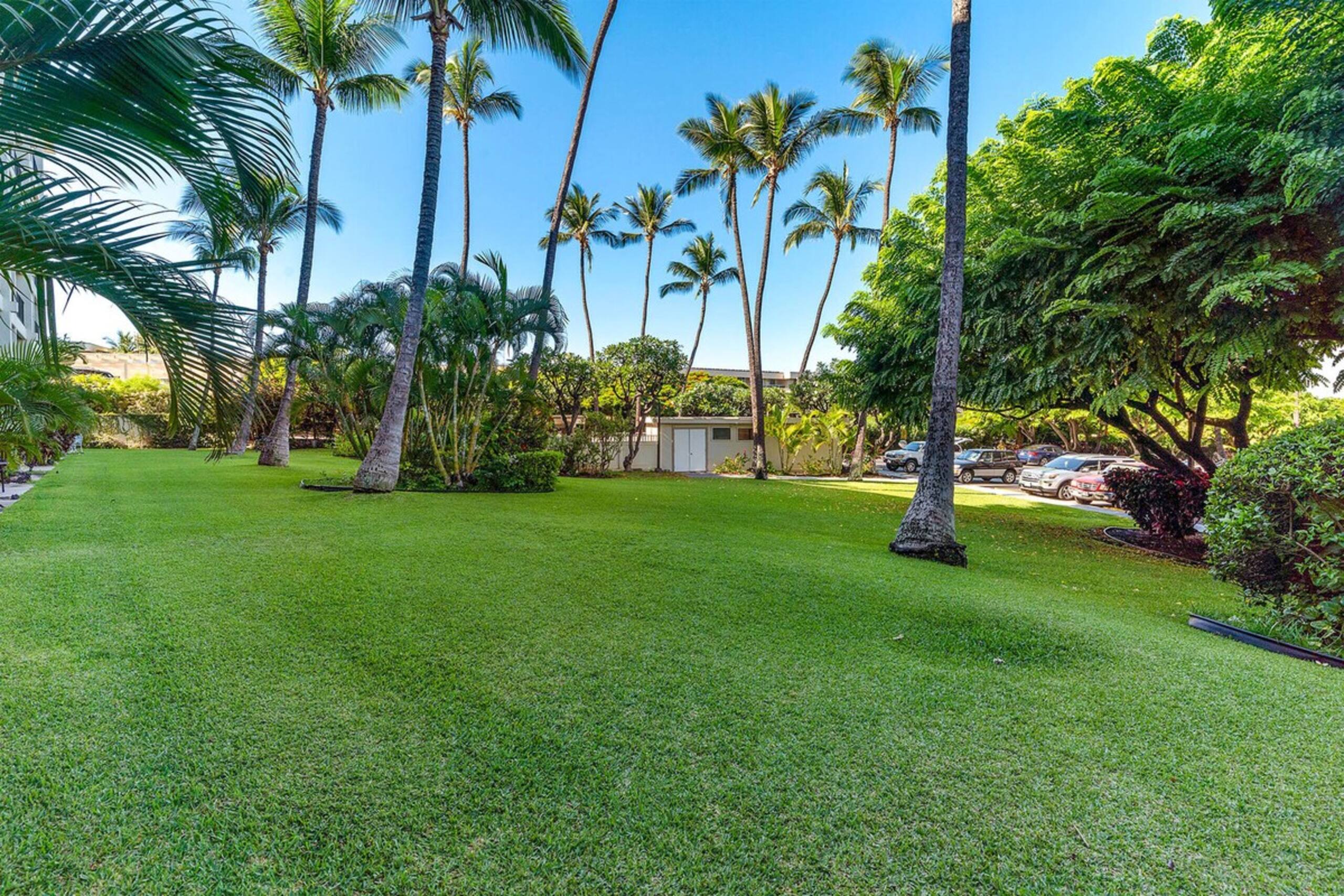 Kihei Akahi D-G04, Renovated, Split AC, No Carpet - Photo 24