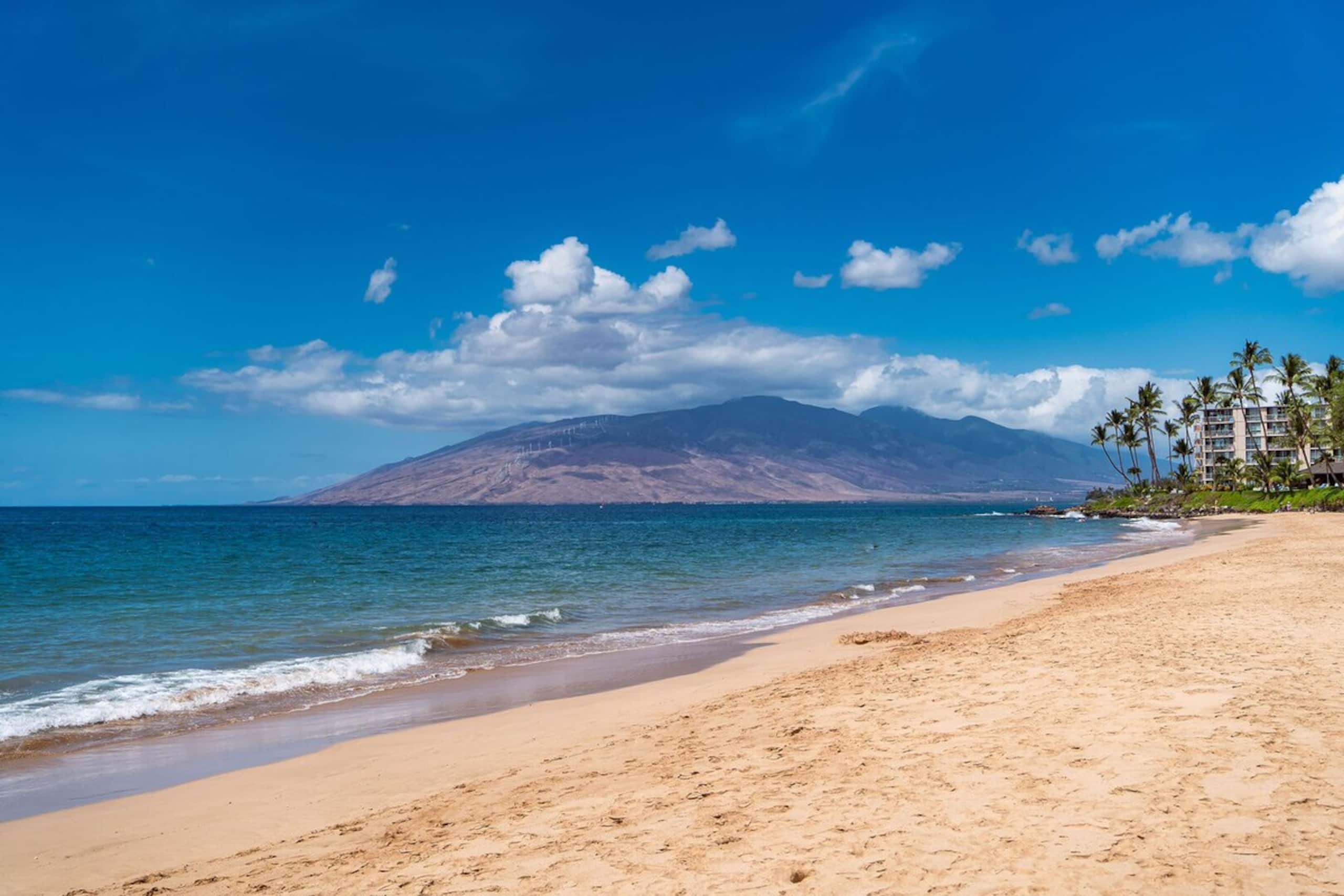 Kihei Akahi D-G04, Renovated, Split AC, No Carpet - Photo 40