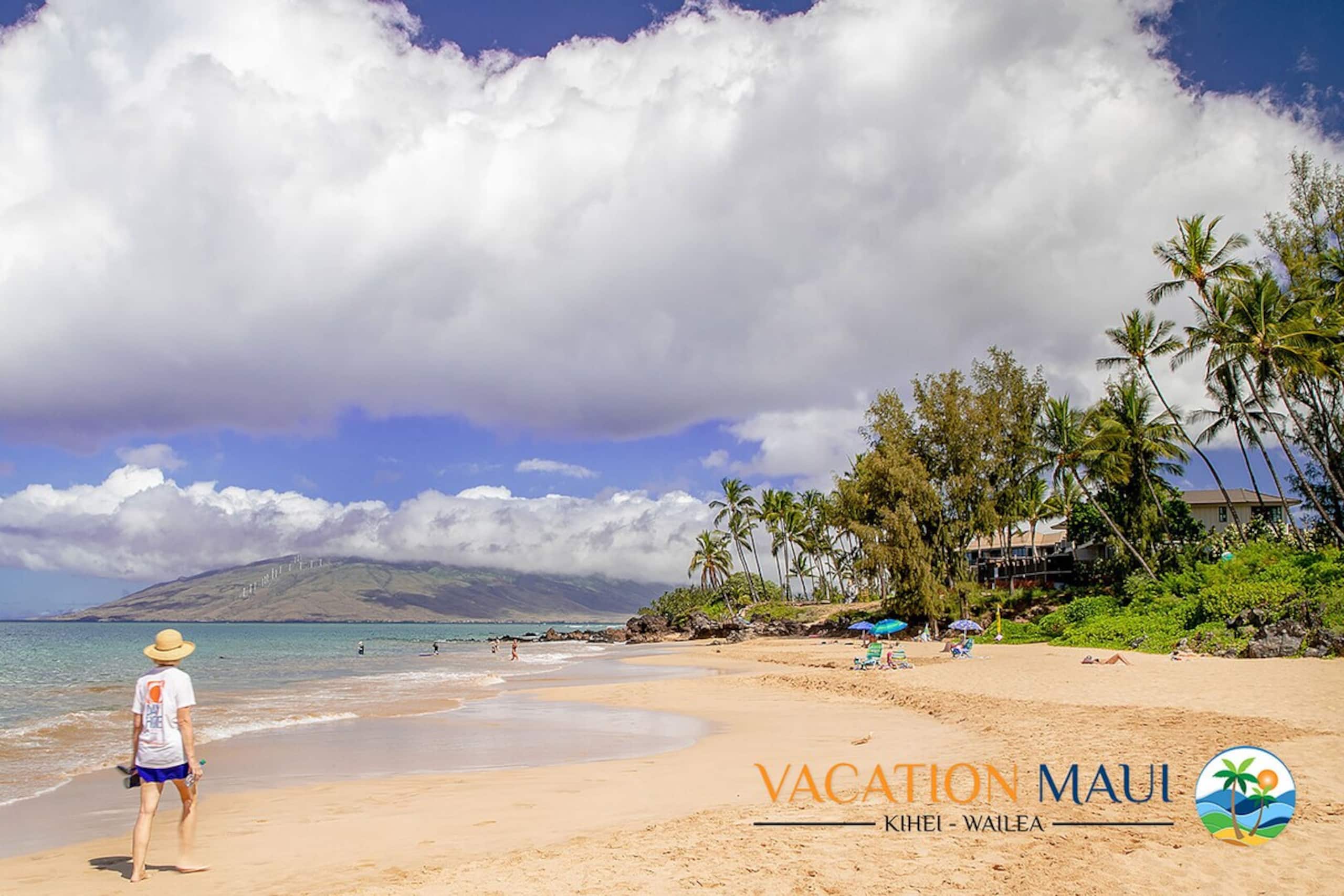 Kihei Akahi D-G04, Renovated, Split AC, No Carpet - Photo 4