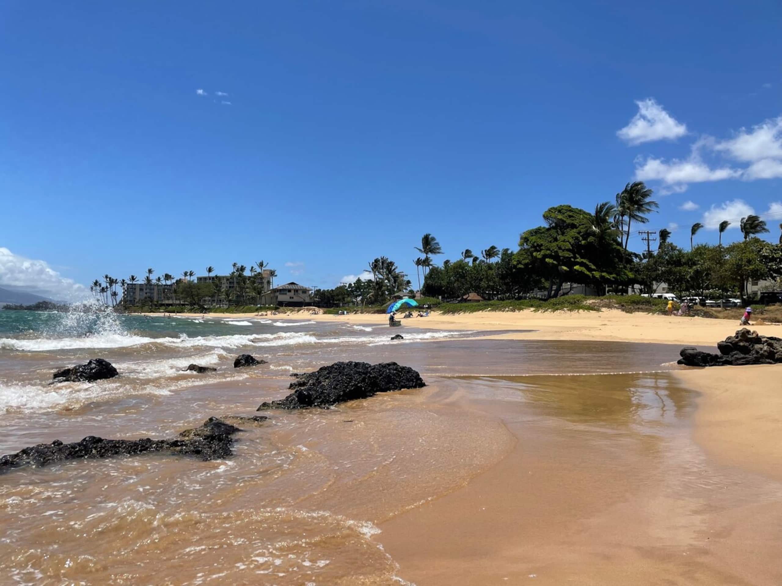 Kihei Akahi OCEAN VIEWRENOVATEDDual ACOwnr MGMT - Photo 38