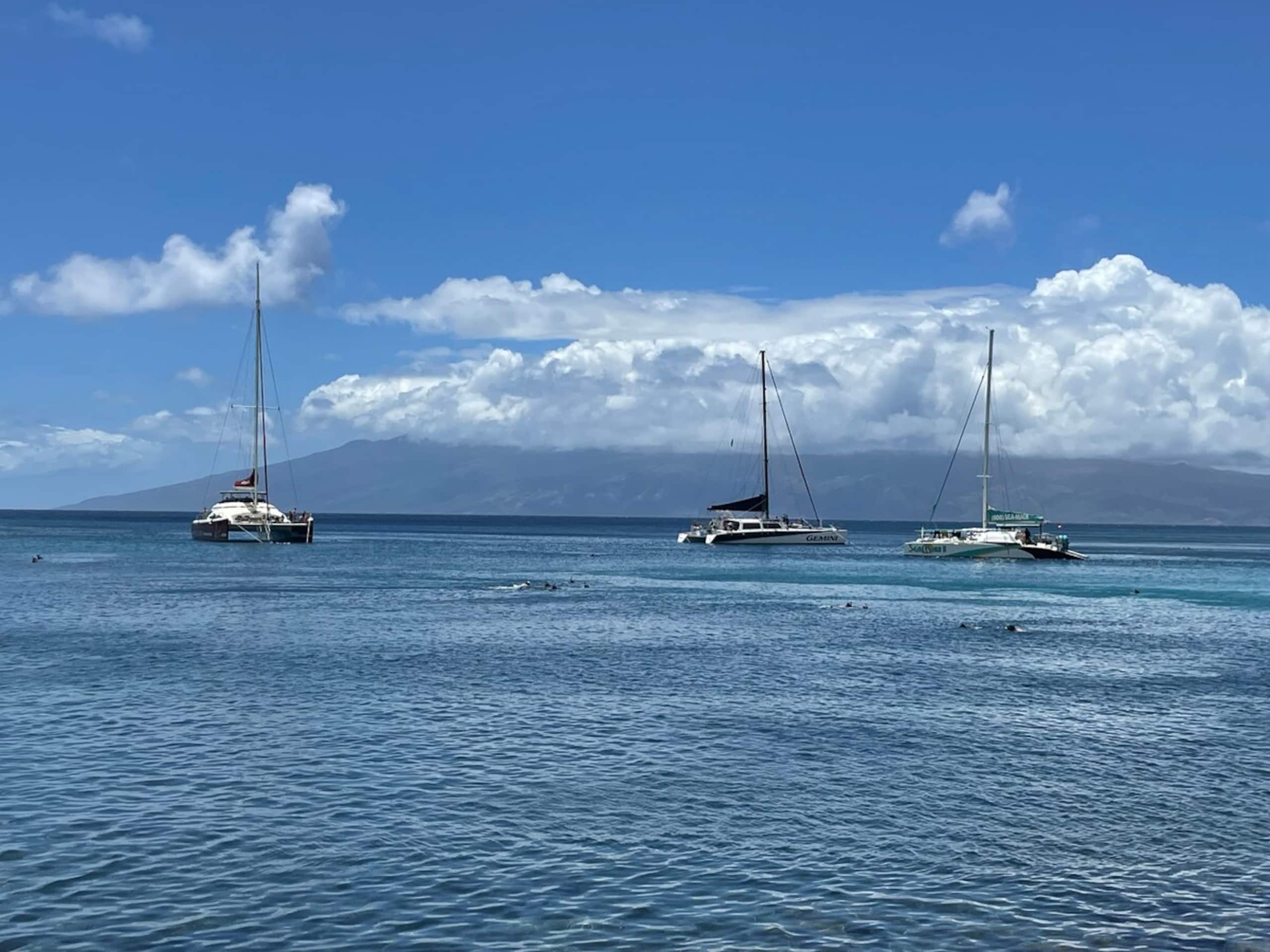 Kihei Akahi OCEAN VIEWRENOVATEDDual ACOwnr MGMT - Photo 55