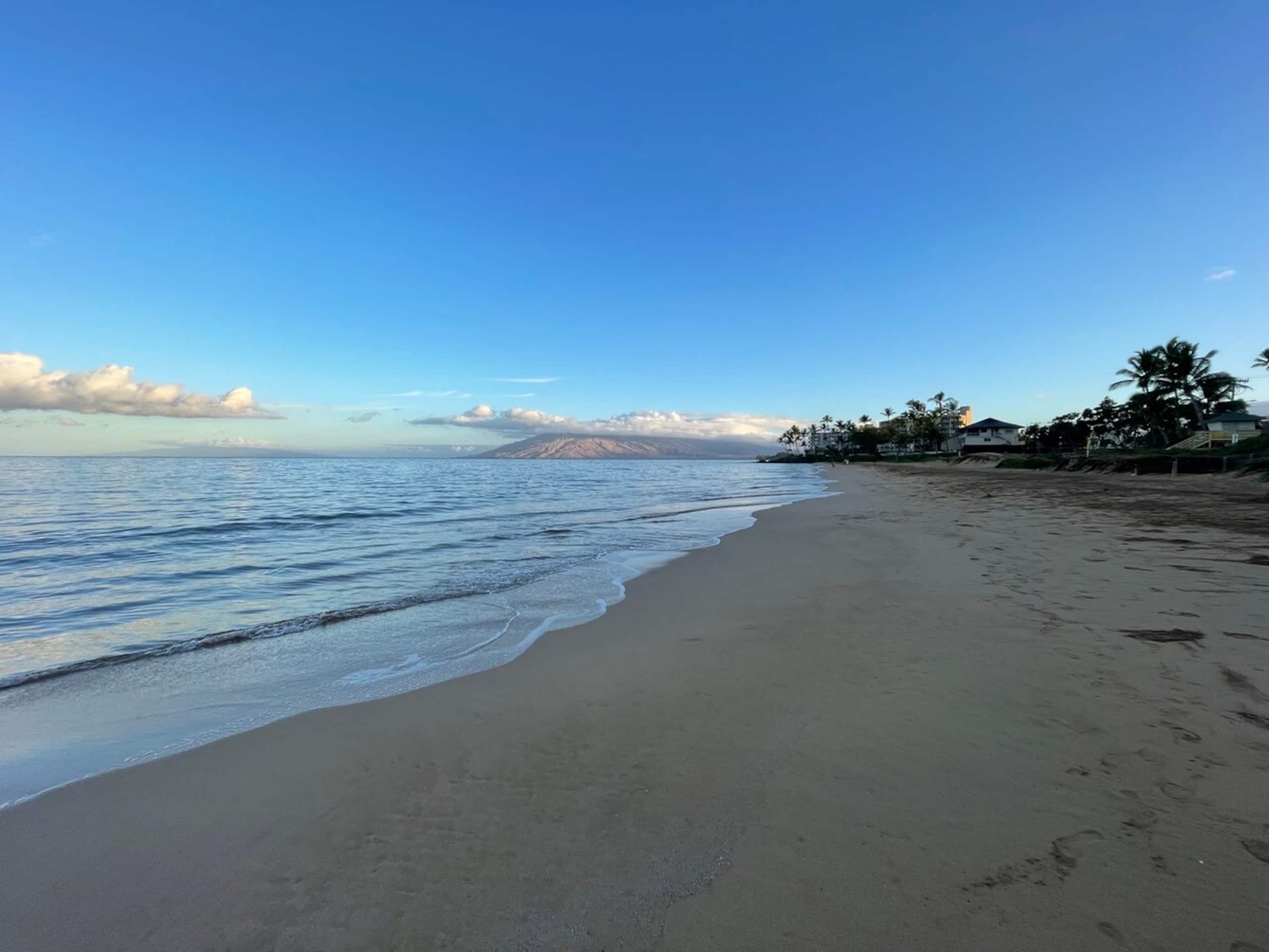 Kihei Akahi OCEAN VIEWRENOVATEDDual ACOwnr MGMT - Photo 49