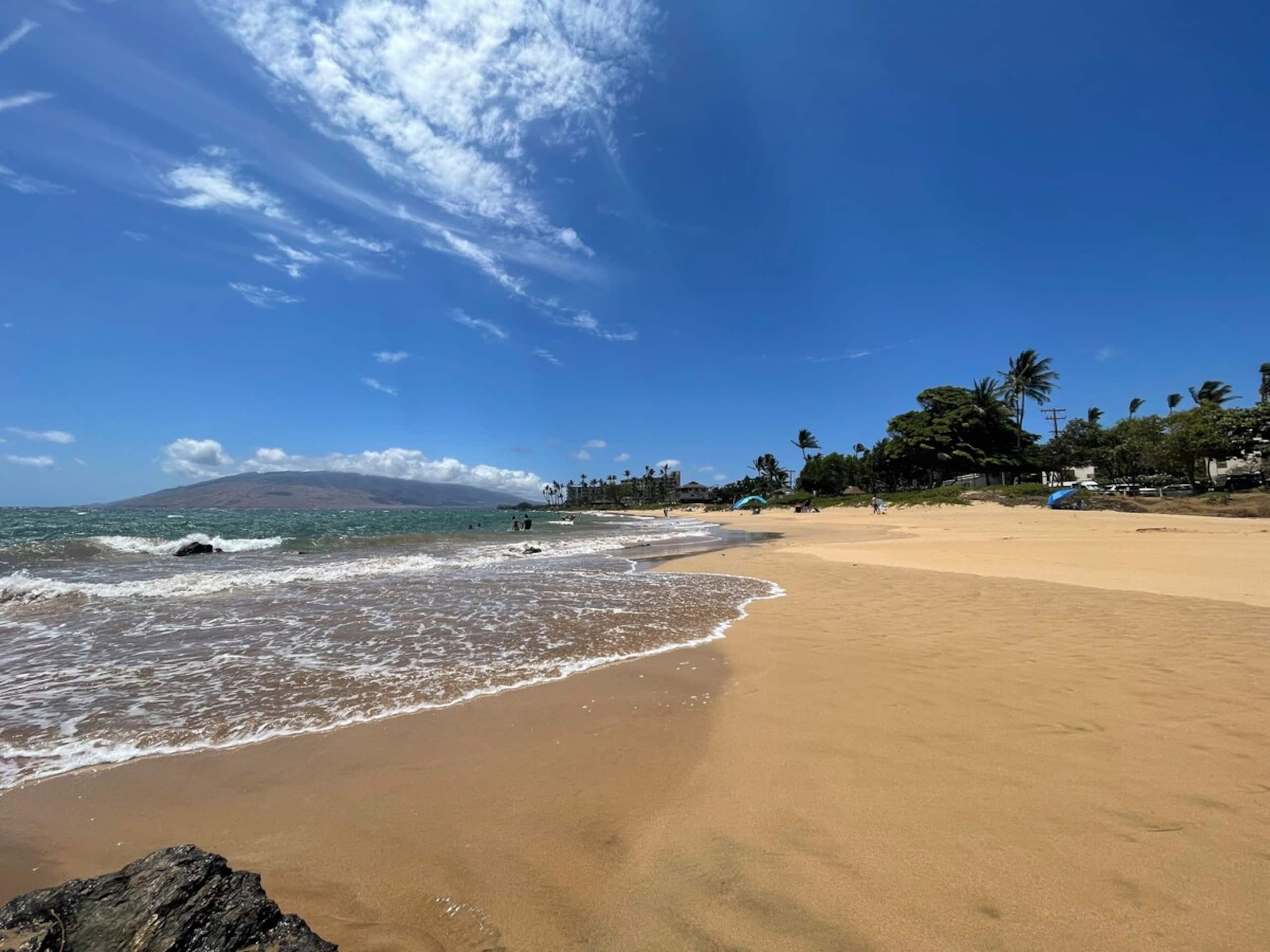 Kihei Akahi OCEAN VIEWRENOVATEDDual ACOwnr MGMT - Photo 42