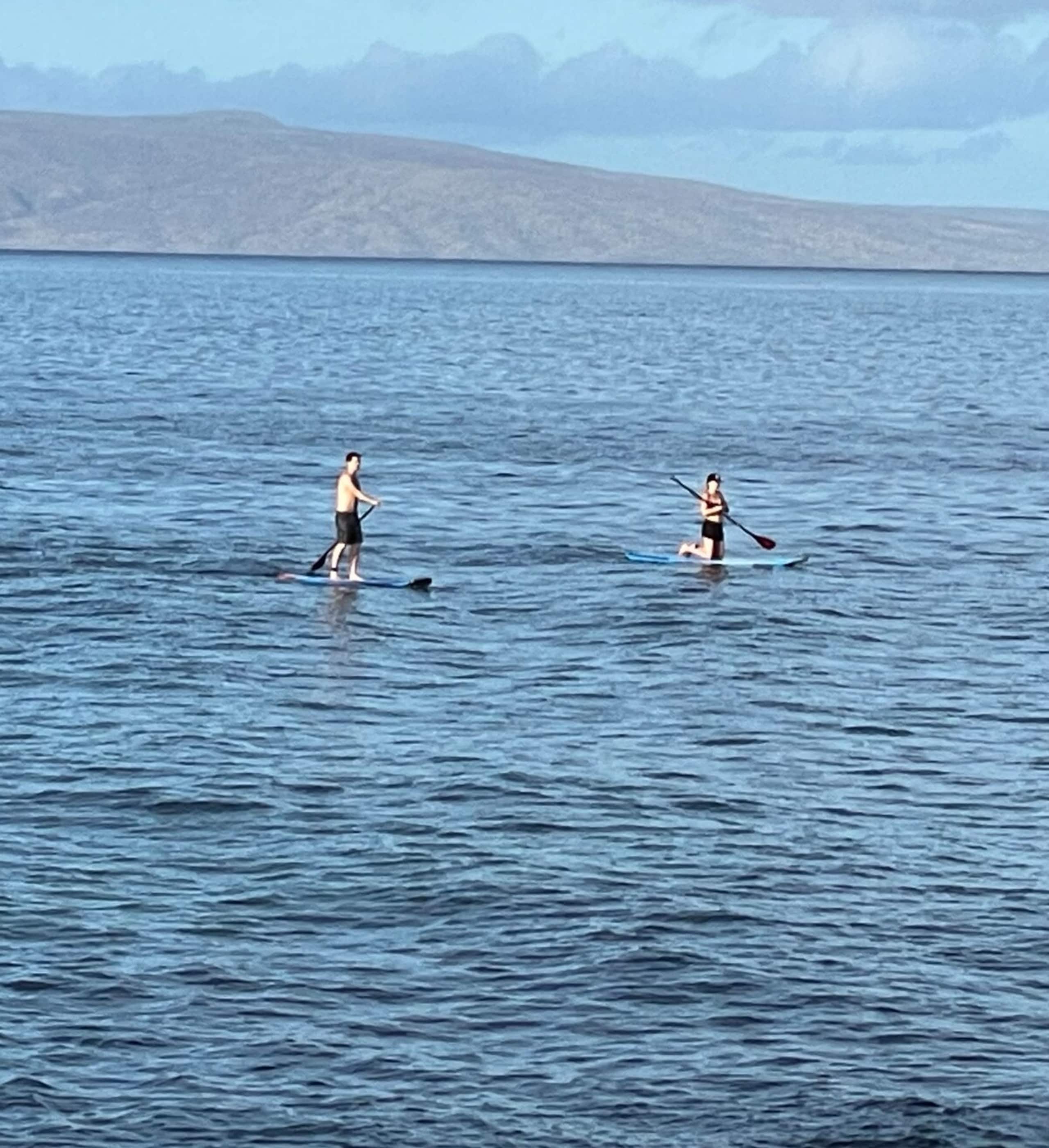 Kihei Akahi OCEAN VIEWRENOVATEDDual ACOwnr MGMT - Photo 41