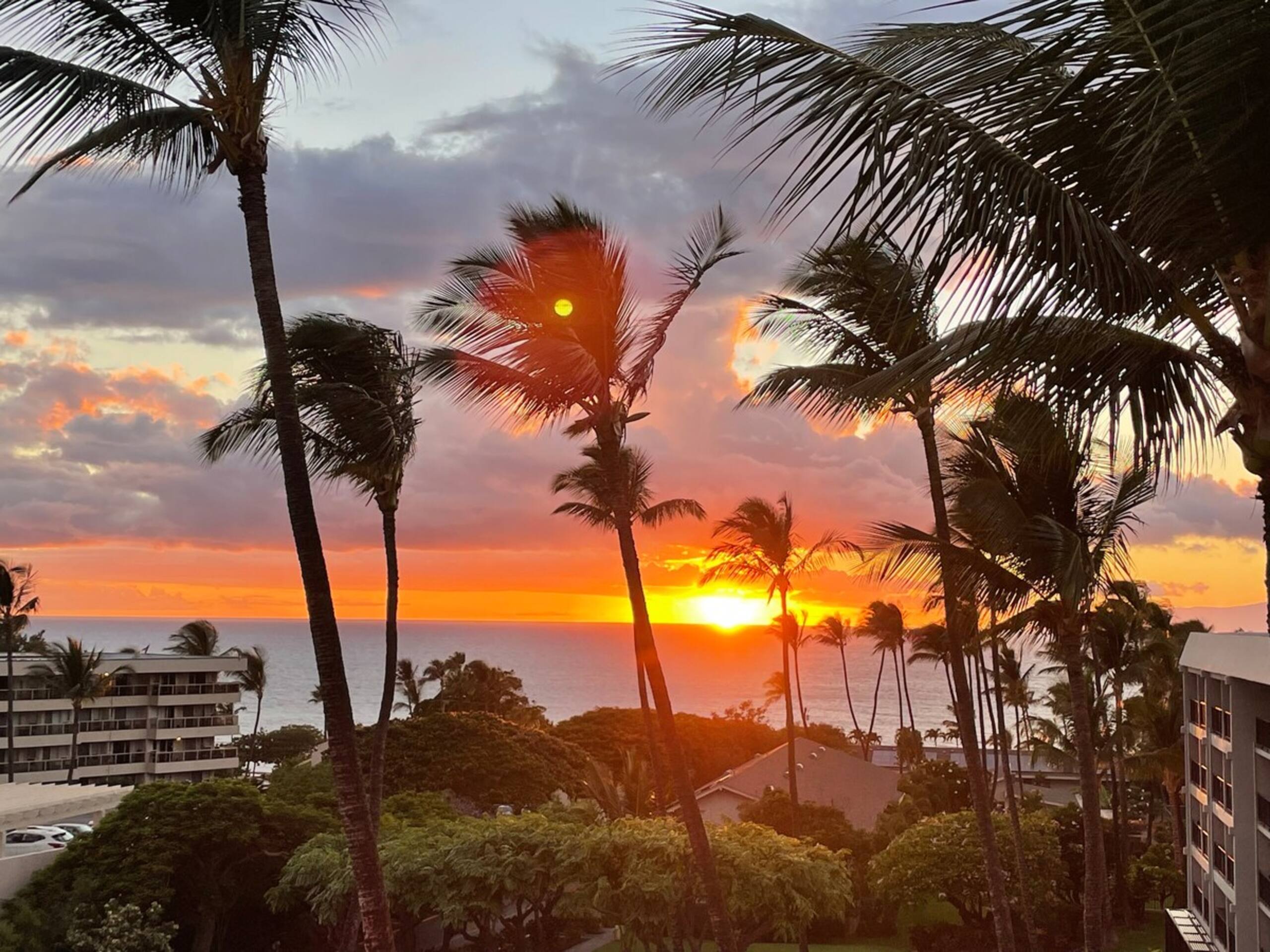 Kihei Akahi OCEAN VIEWRENOVATEDDual ACOwnr MGMT - Photo 6