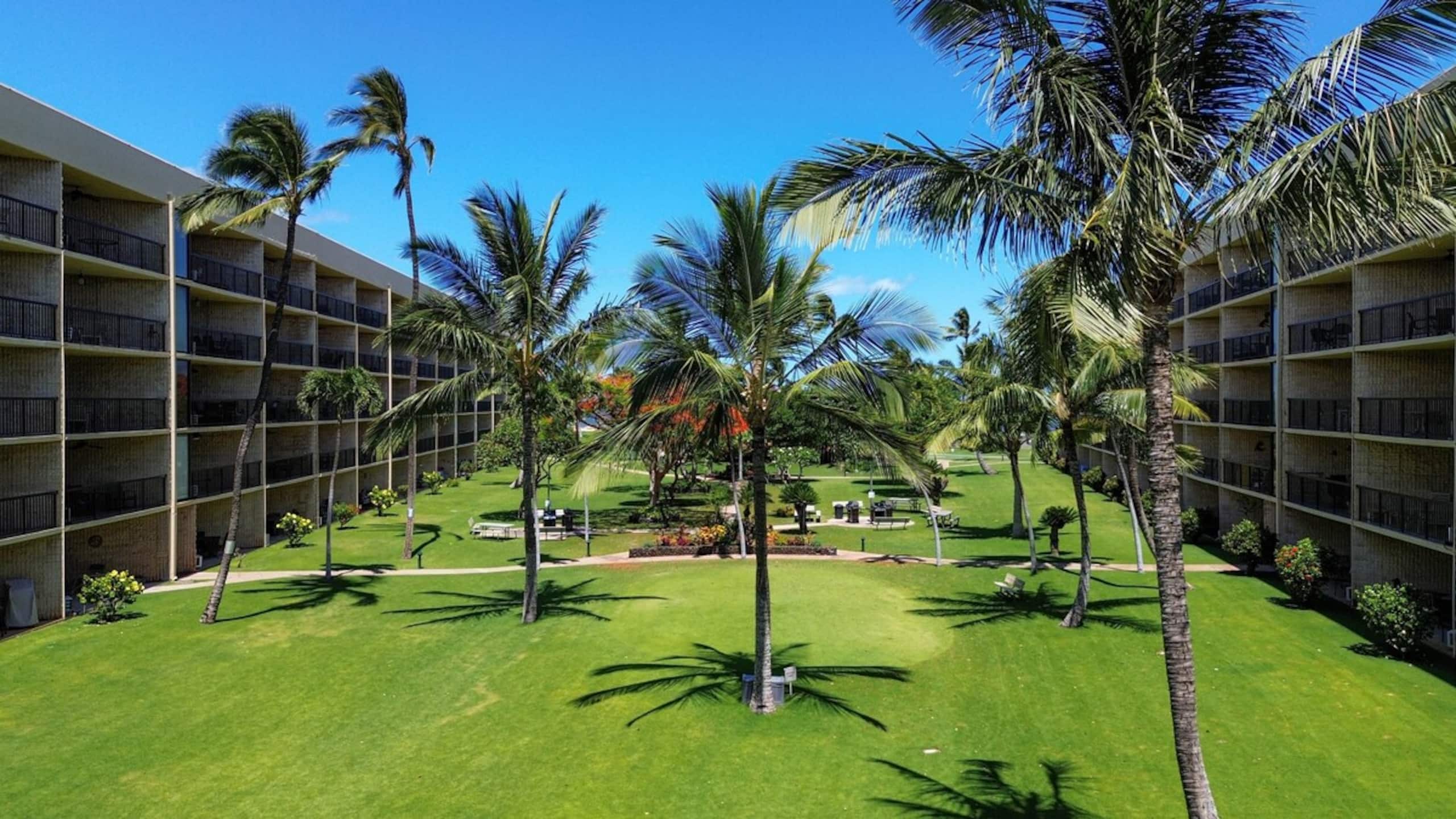 Maui-Time Maui Sunset Guest Fave 1BR/2Q/2Full Ba - Photo 51