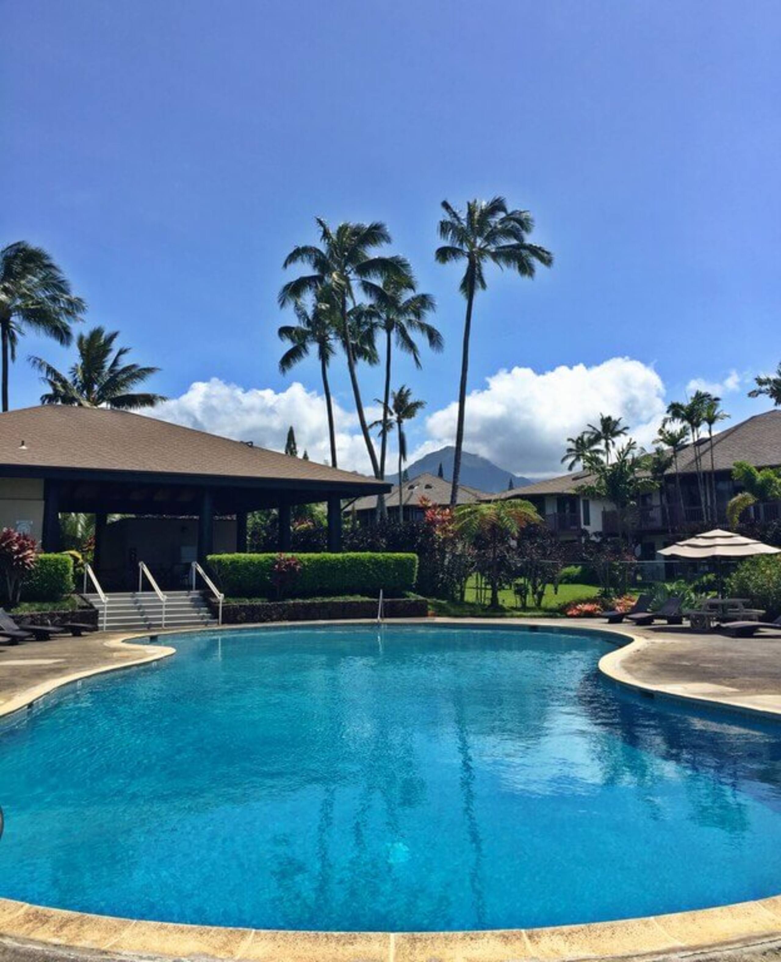 Beautiful Tropical Getaway - Pool - Grill & More - Photo 8