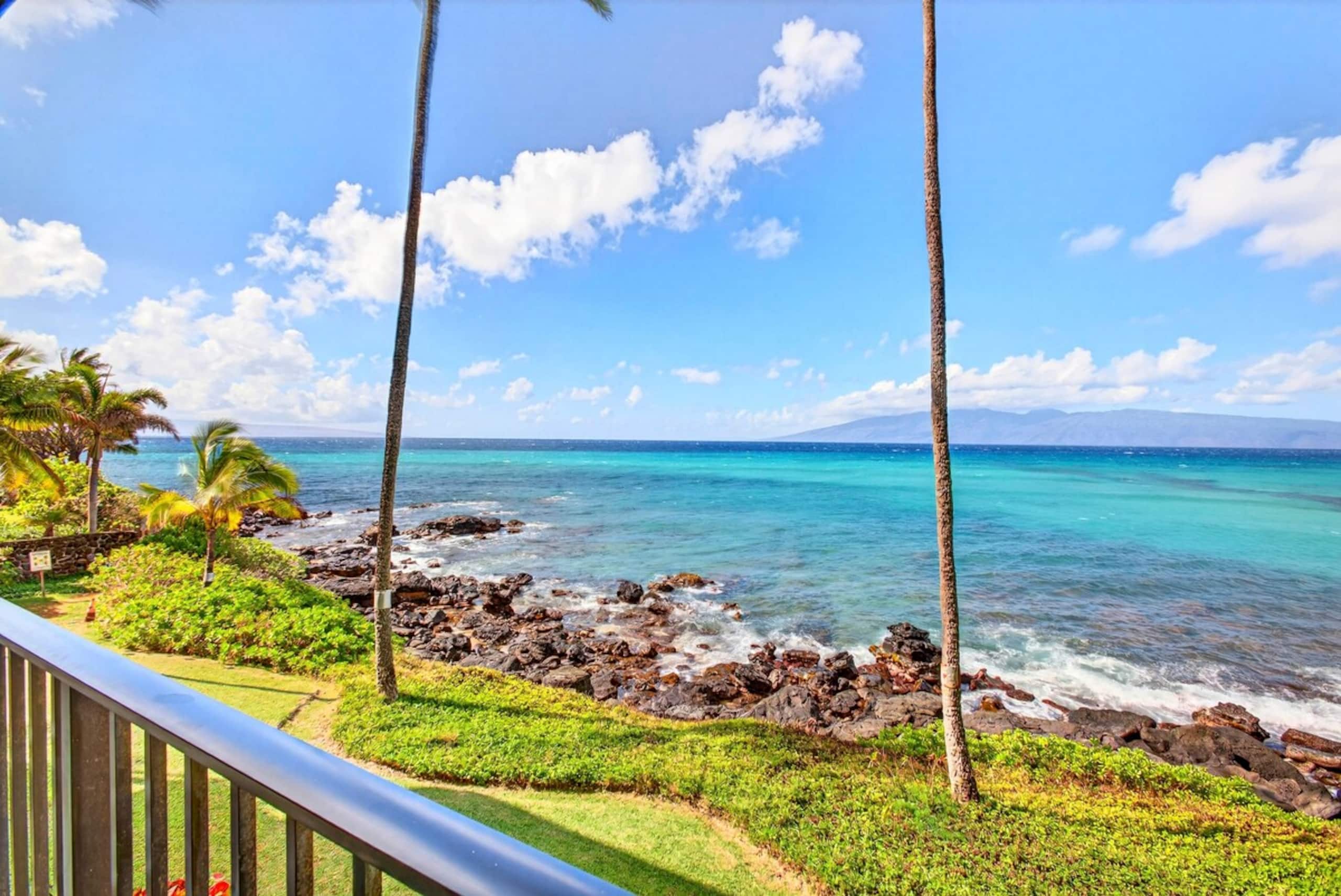 Coastal Elegance: A Fresh Oceanfront Gem - Photo 9