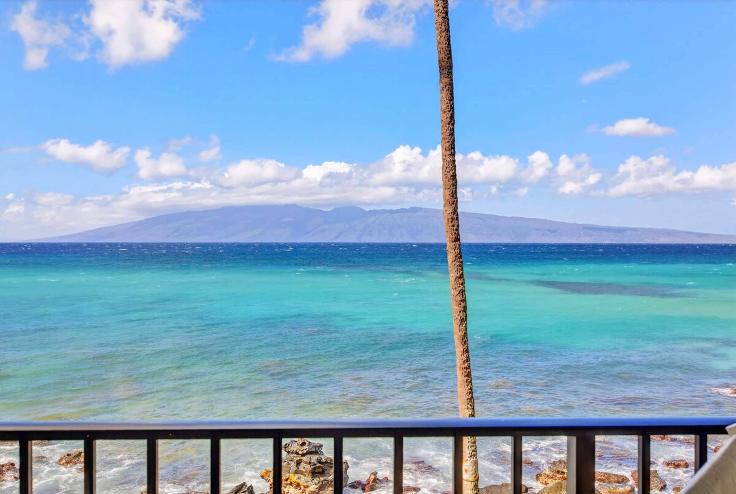 Coastal Elegance: A Fresh Oceanfront Gem - Photo 33