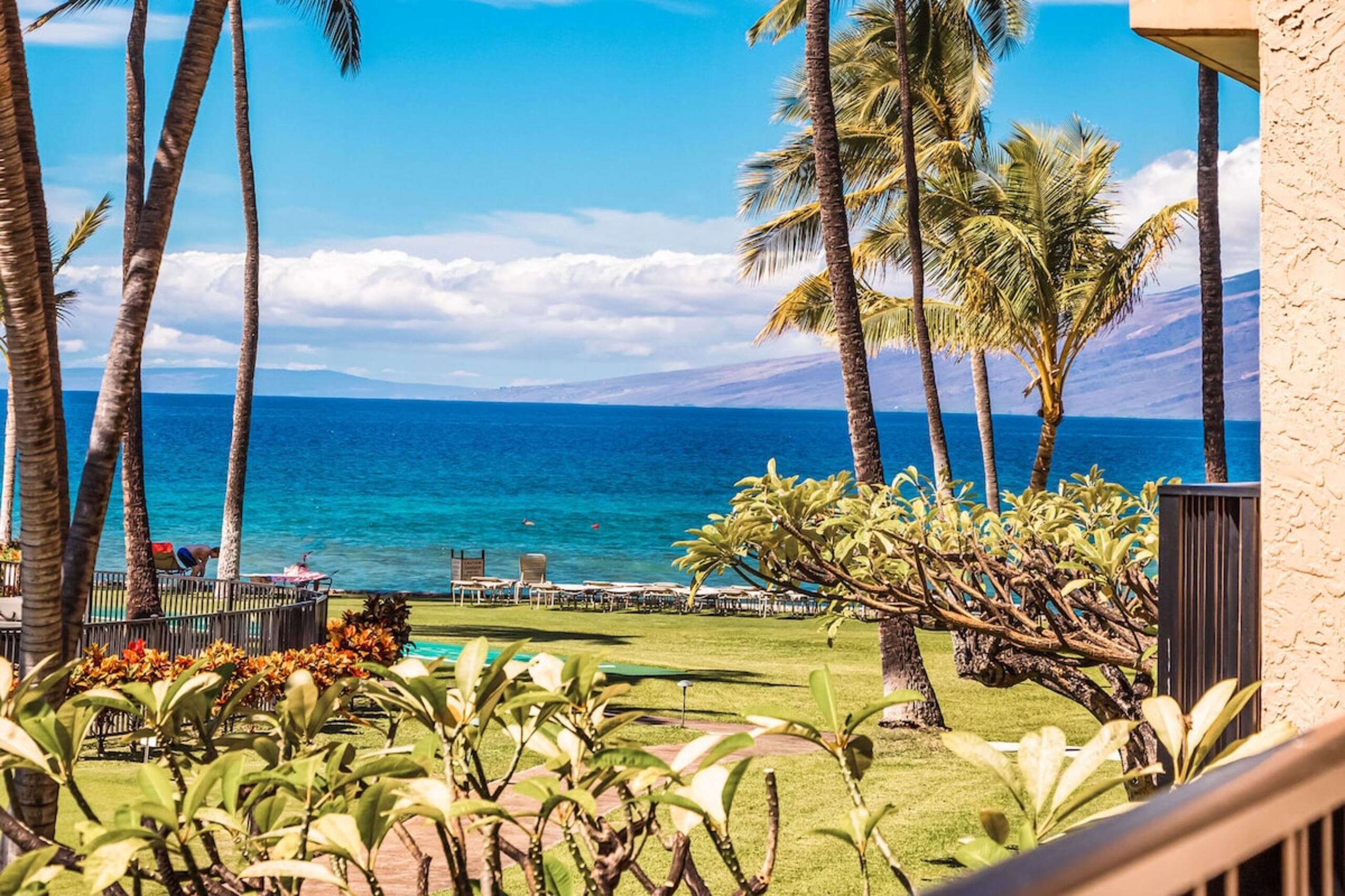 Charming 1bd condo, renovated with ocean views - Photo 6