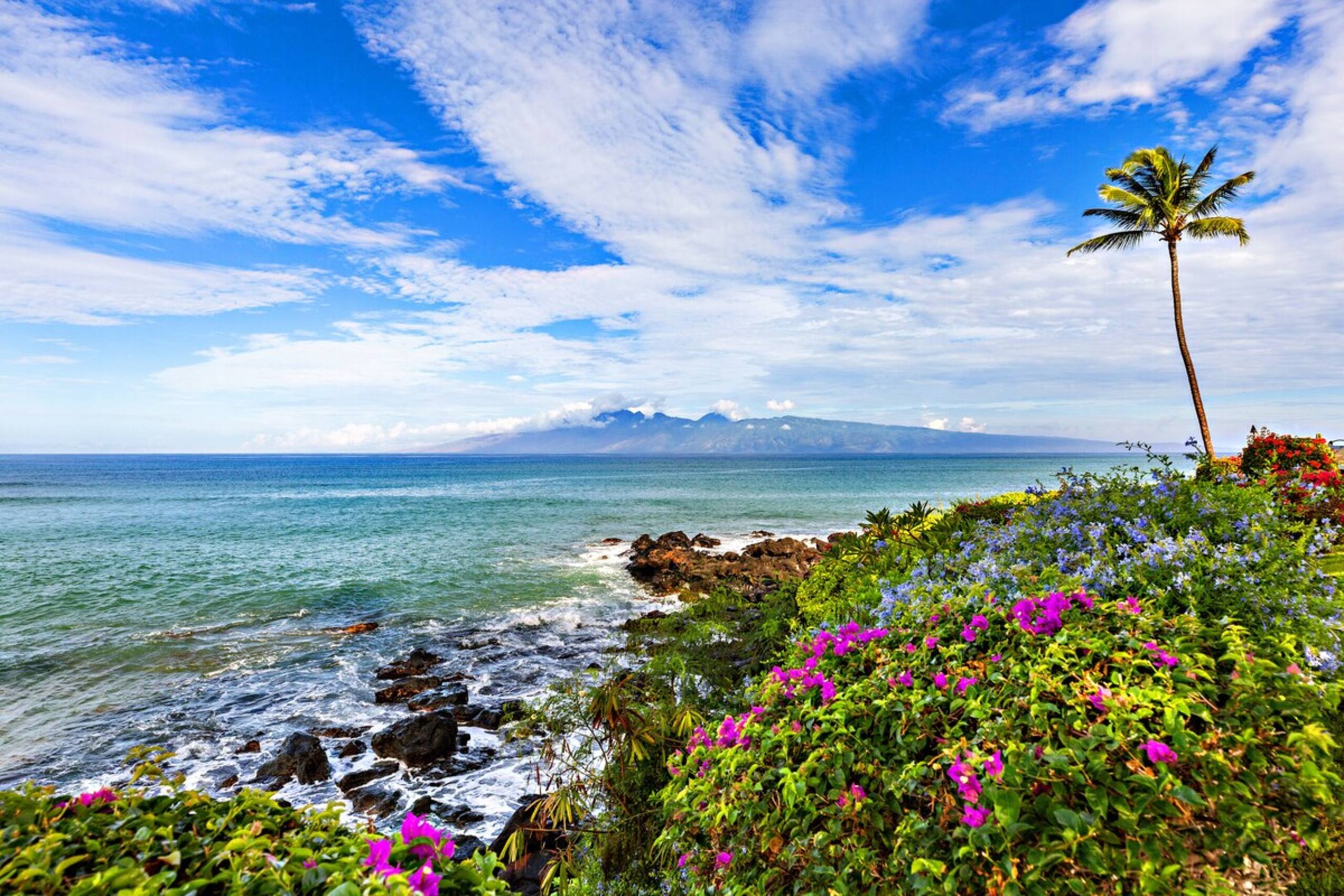 West Maui chic, 2bd condo with sleek, modern style - Photo 28