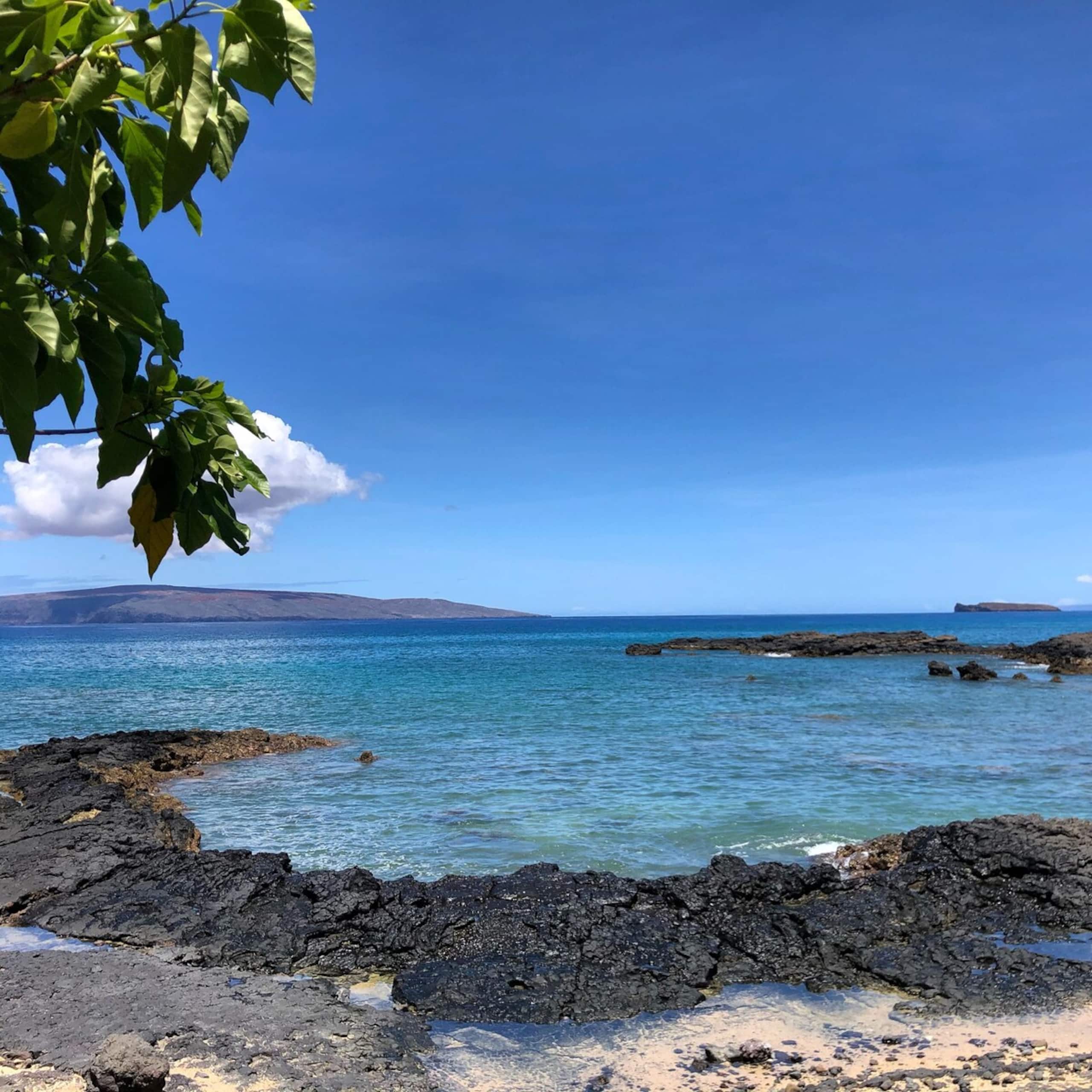 Beach Bungalow, Walking Distance to Everything - Photo 49