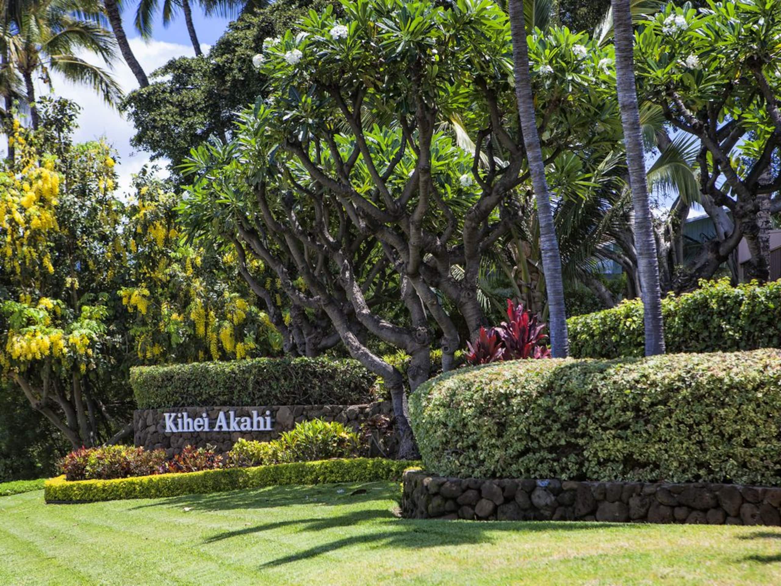 Beach Bungalow, Walking Distance to Everything - Photo 33