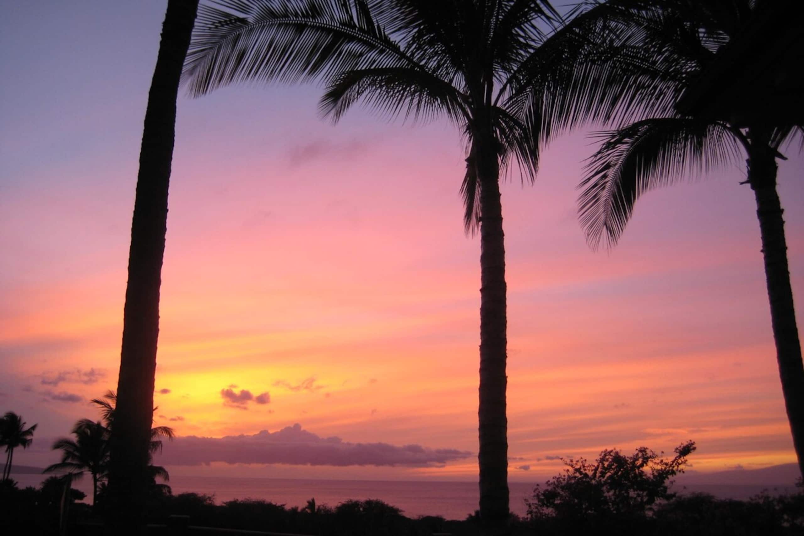 Beach Bungalow, Walking Distance to Everything - Photo 45
