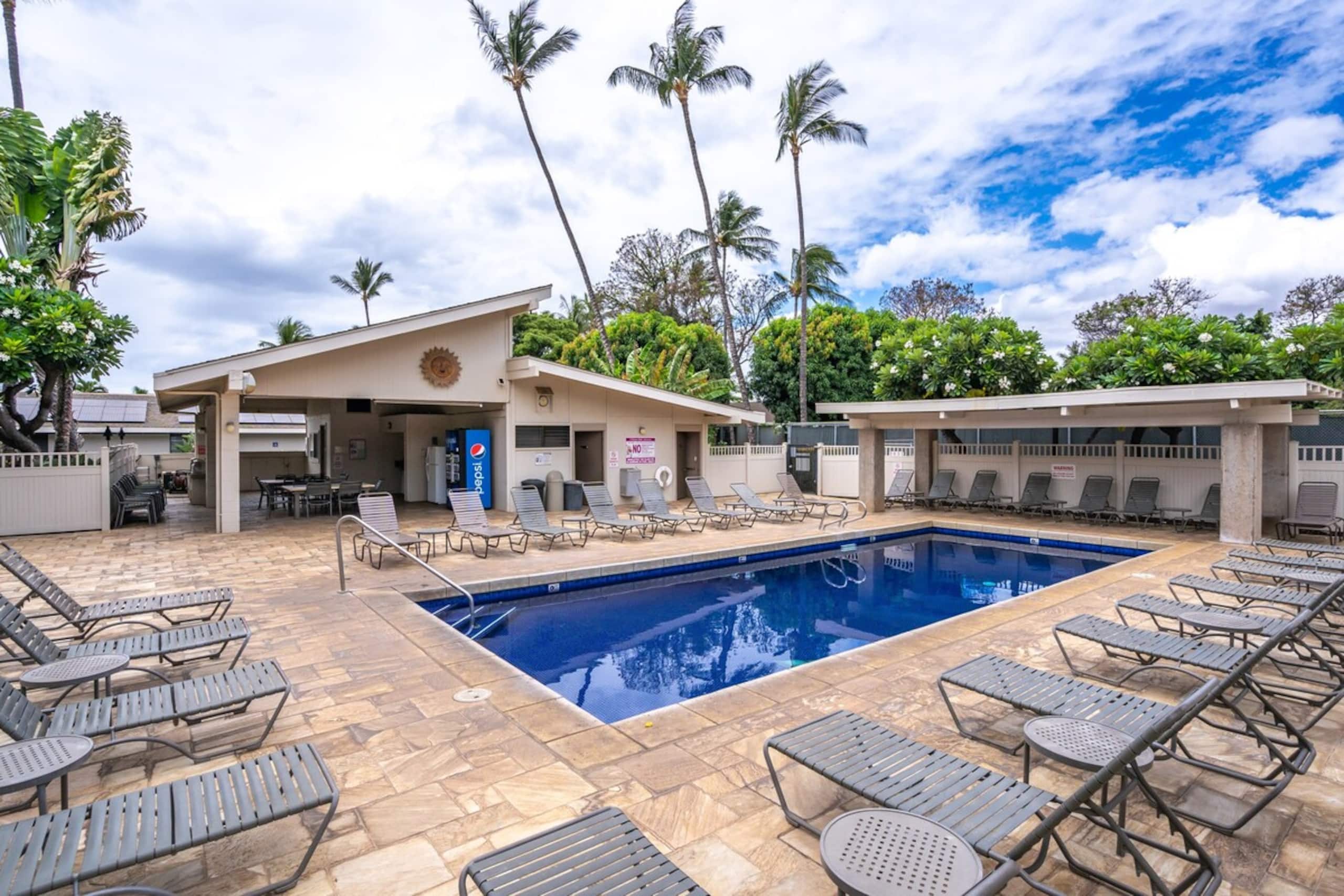 Beach Bungalow, Walking Distance to Everything - Photo 36