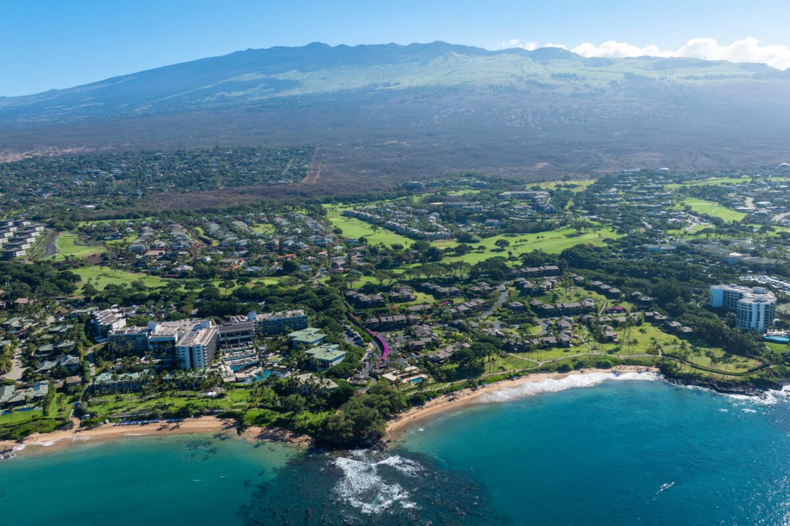 Tropical Escape to Wailea with Stunning Oceanview - Photo 26