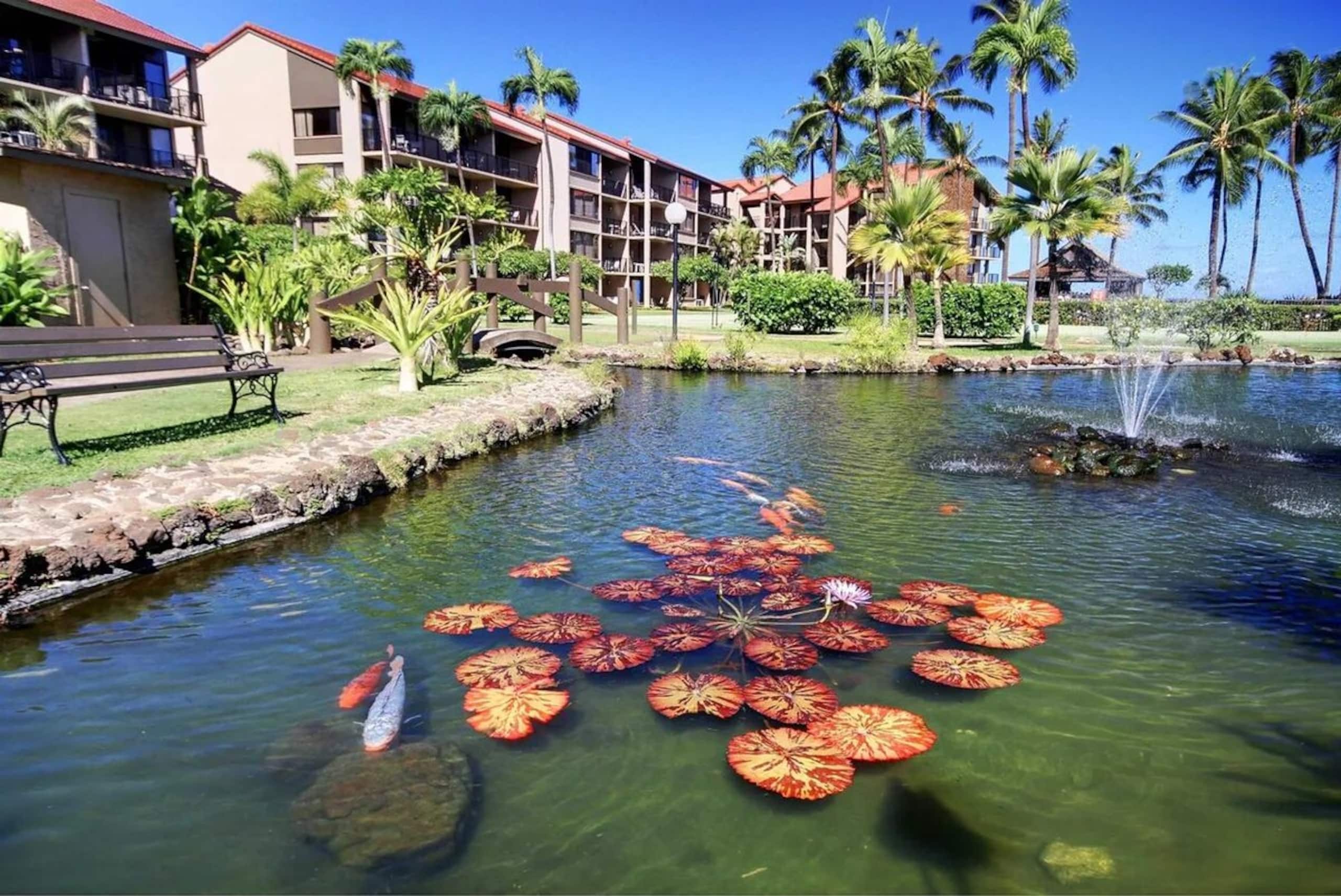 Papakea Oceanfront Resort, King Bed, 1st FL Studio - Photo 20