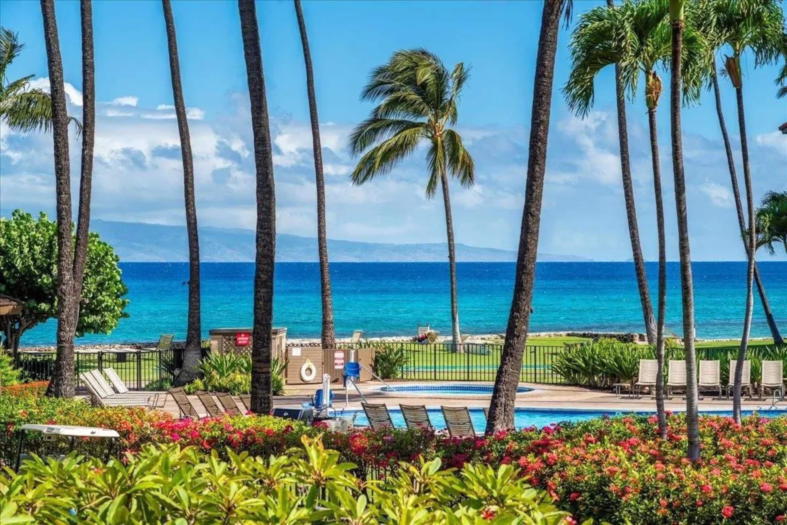 Papakea Oceanfront Resort, King Bed, 1st FL Studio - Photo 42