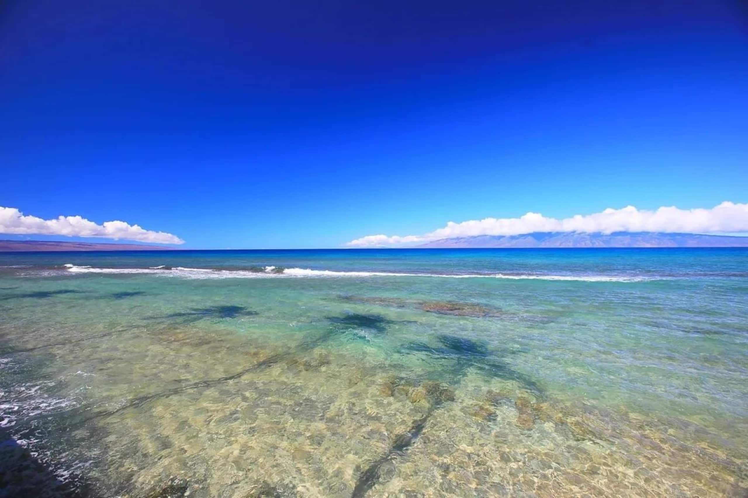 Papakea Oceanfront Resort, King Bed, 1st FL Studio - Photo 37