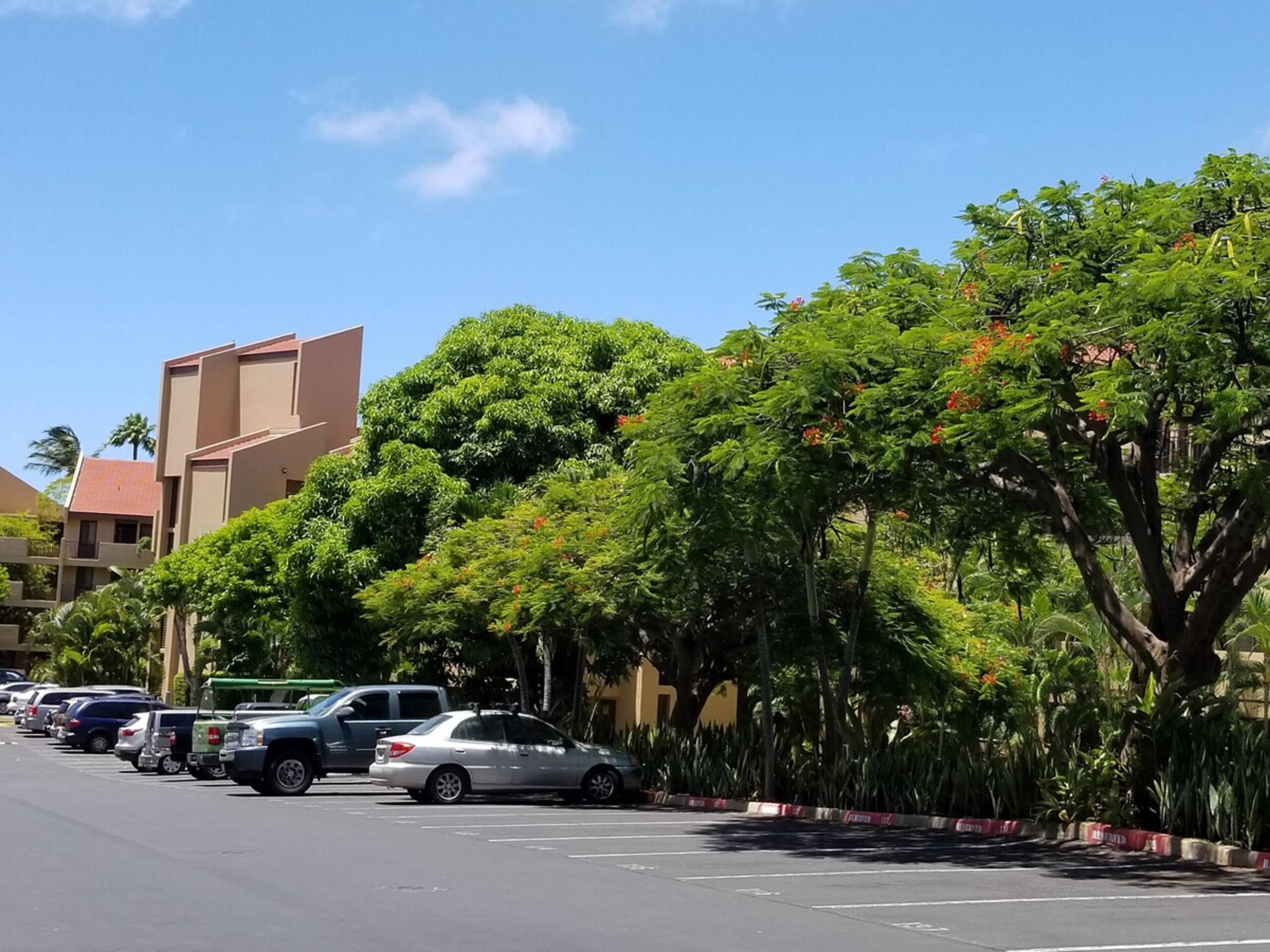 Large 3 Bedroom Condo Across From Beach Pool & Ho - Photo 52