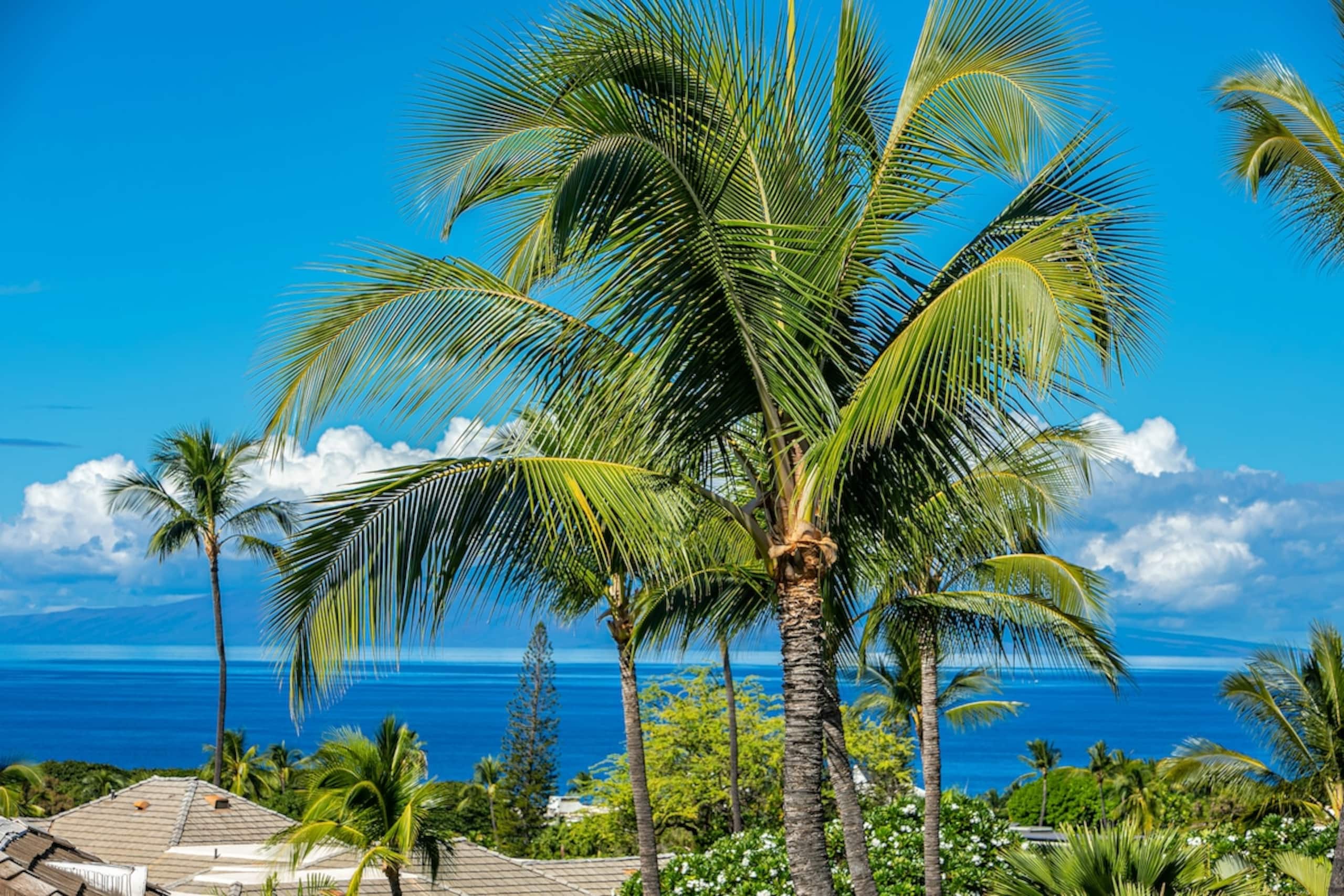 Stunning 180 Degree Ocean Views Top Floor GC48 - Photo 3