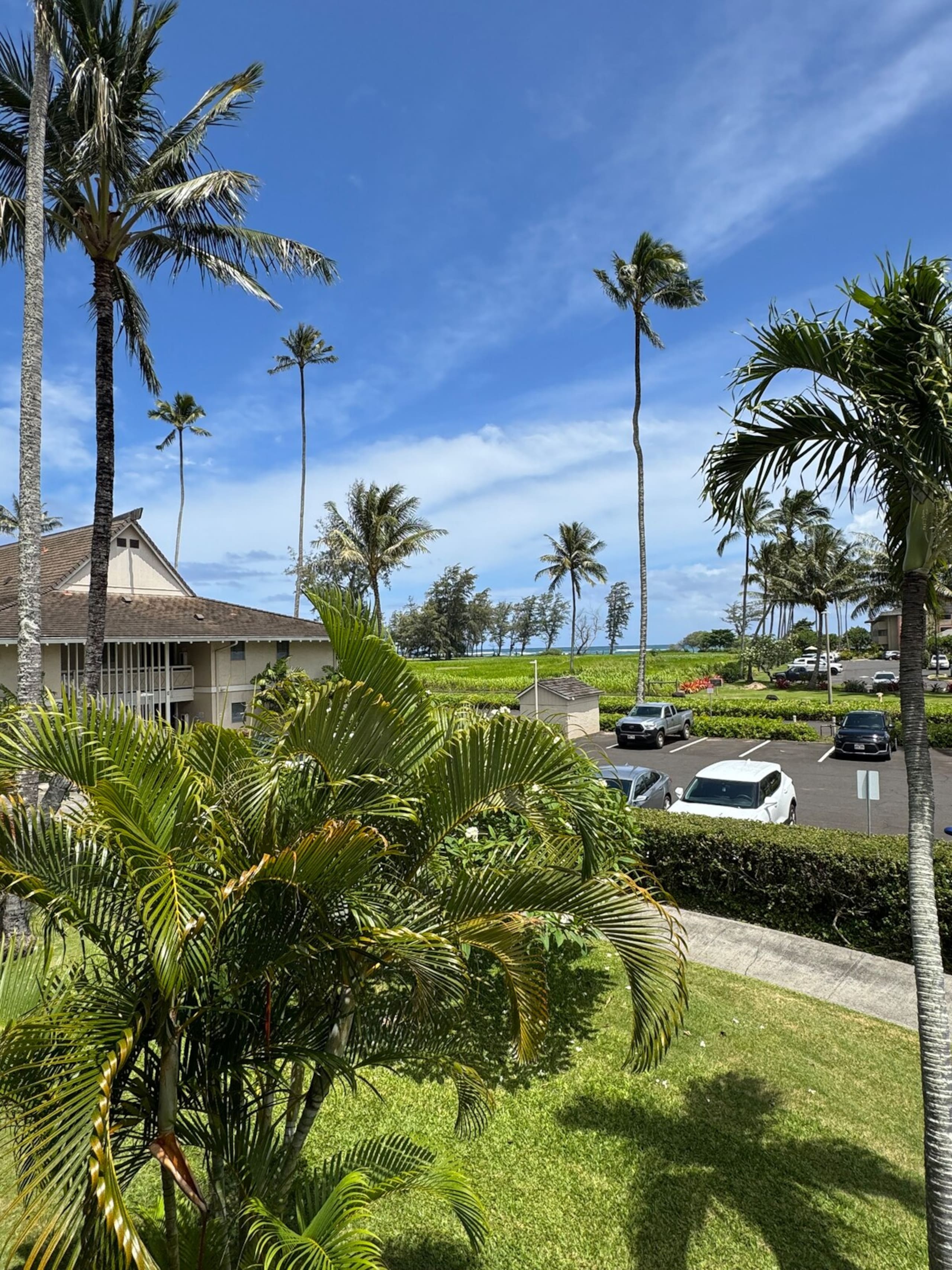 Ocean View, Fully AC'd, 1 Bed/Ba, Full Kitchen - Photo 36