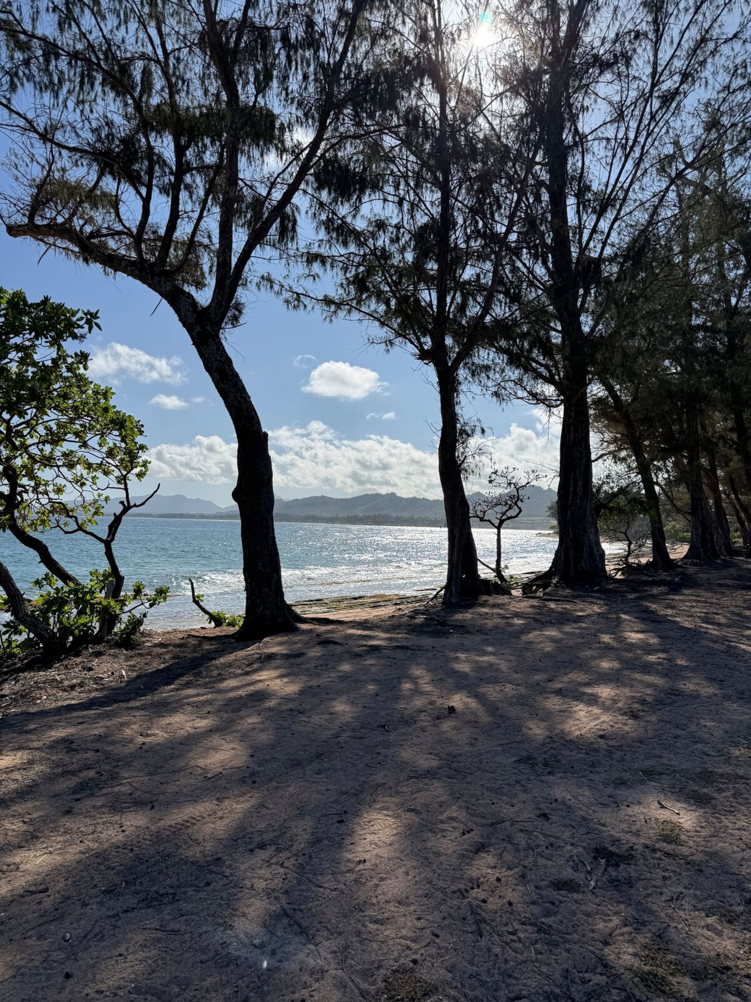 Ocean View, Fully AC'd, 1 Bed/Ba, Full Kitchen - Photo 29
