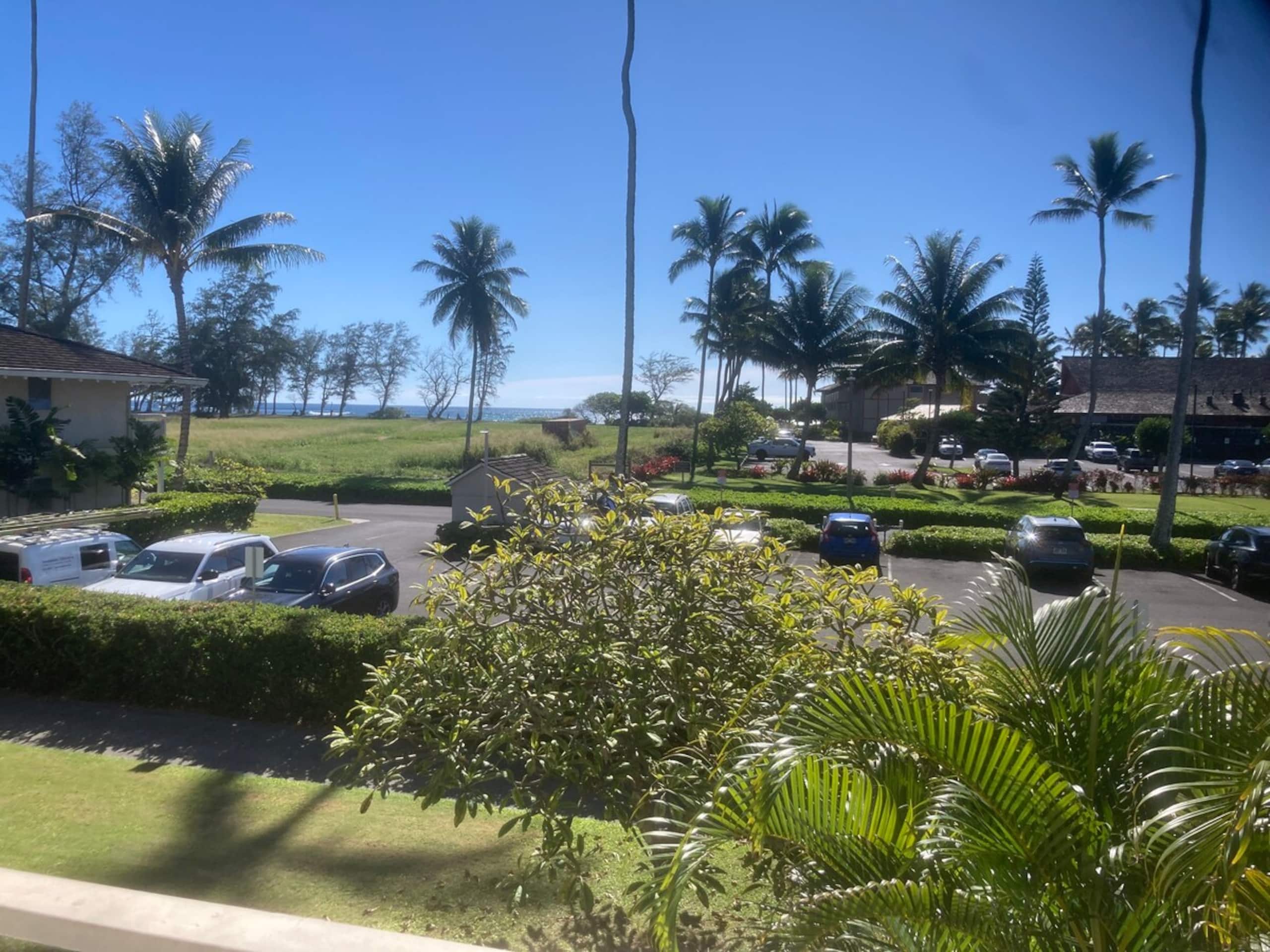 Ocean View, Fully AC'd, 1 Bed/Ba, Full Kitchen - Photo 31
