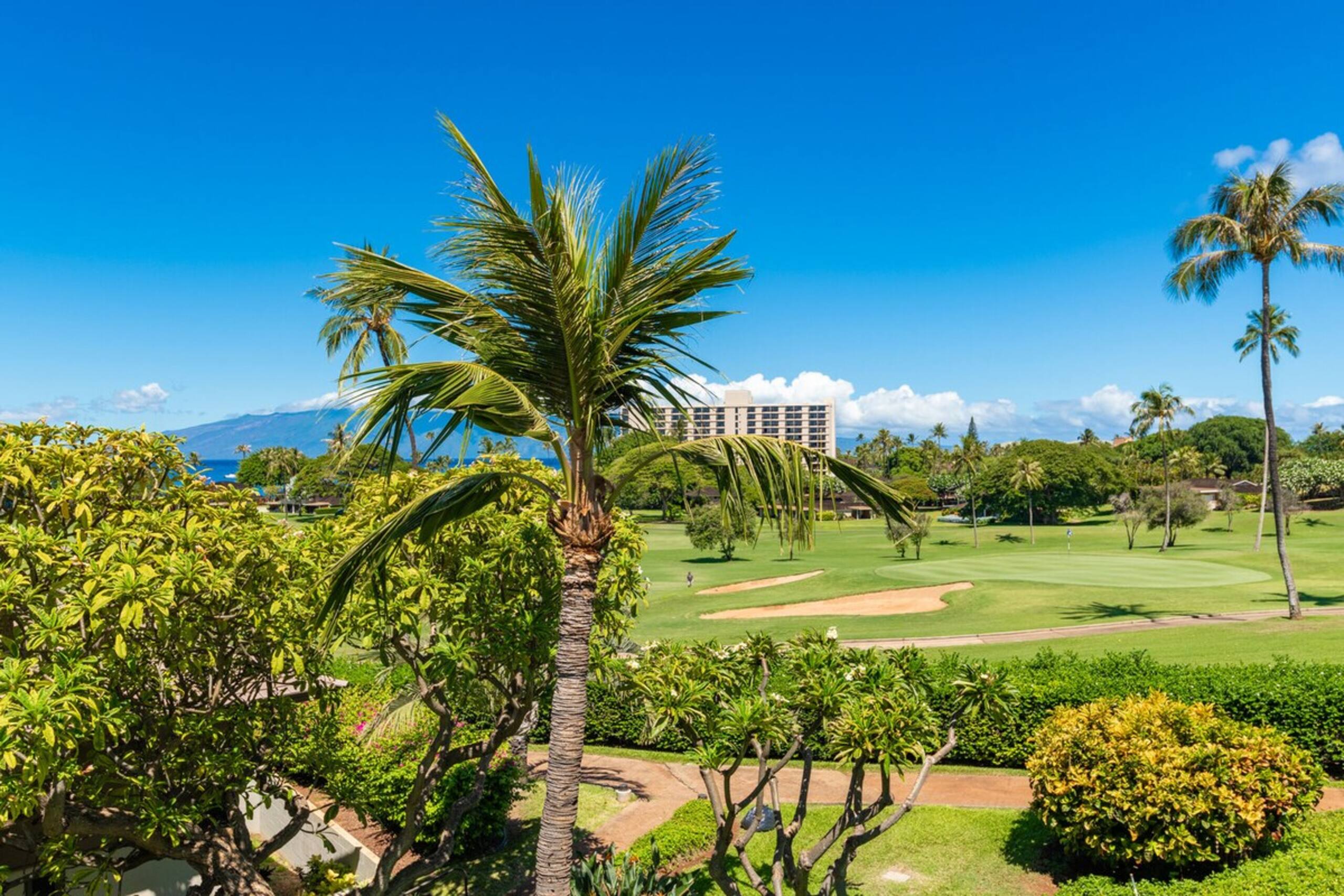 Spacious studio in the heart of Kaanapali - Photo 56