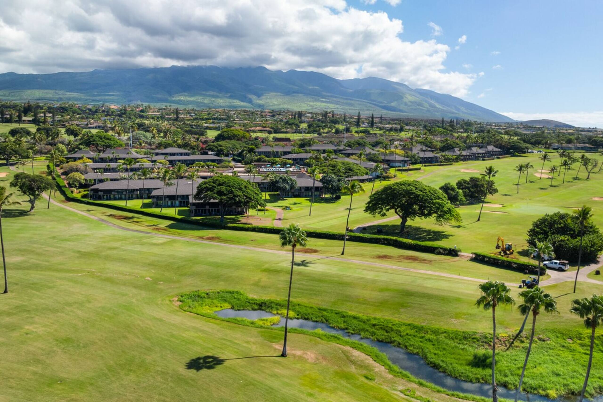 Spacious studio in the heart of Kaanapali - Photo 75