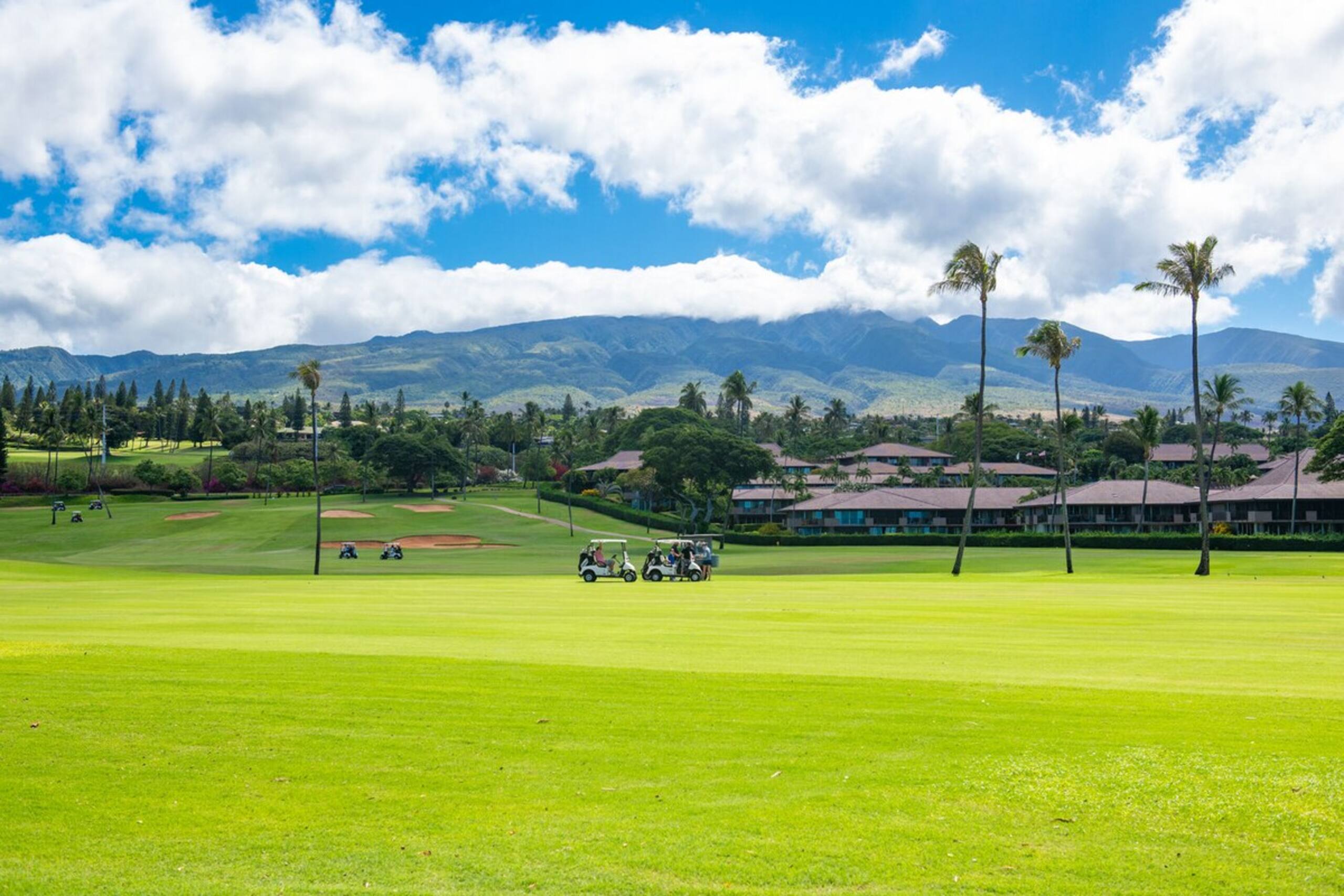 Spacious studio in the heart of Kaanapali - Photo 61