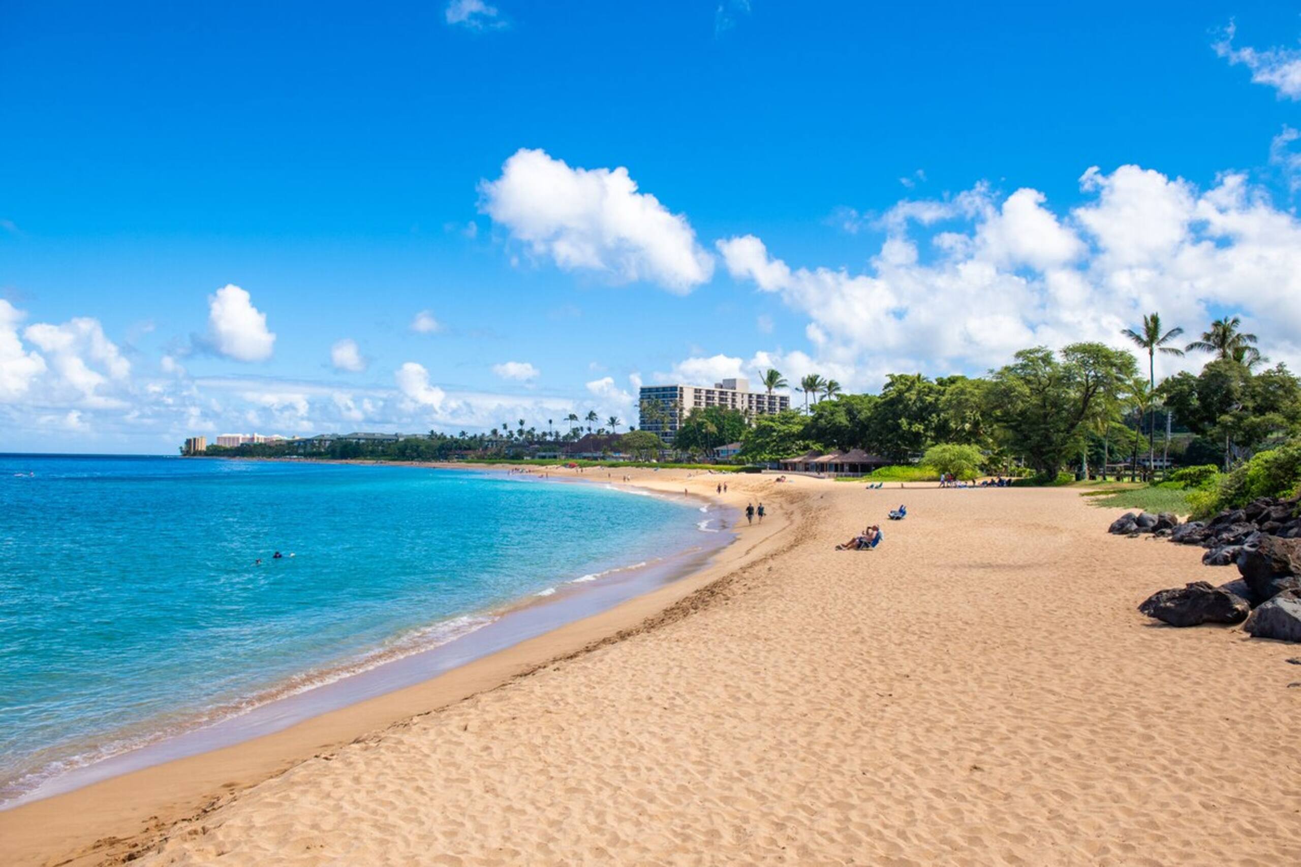 Spacious studio in the heart of Kaanapali - Photo 53