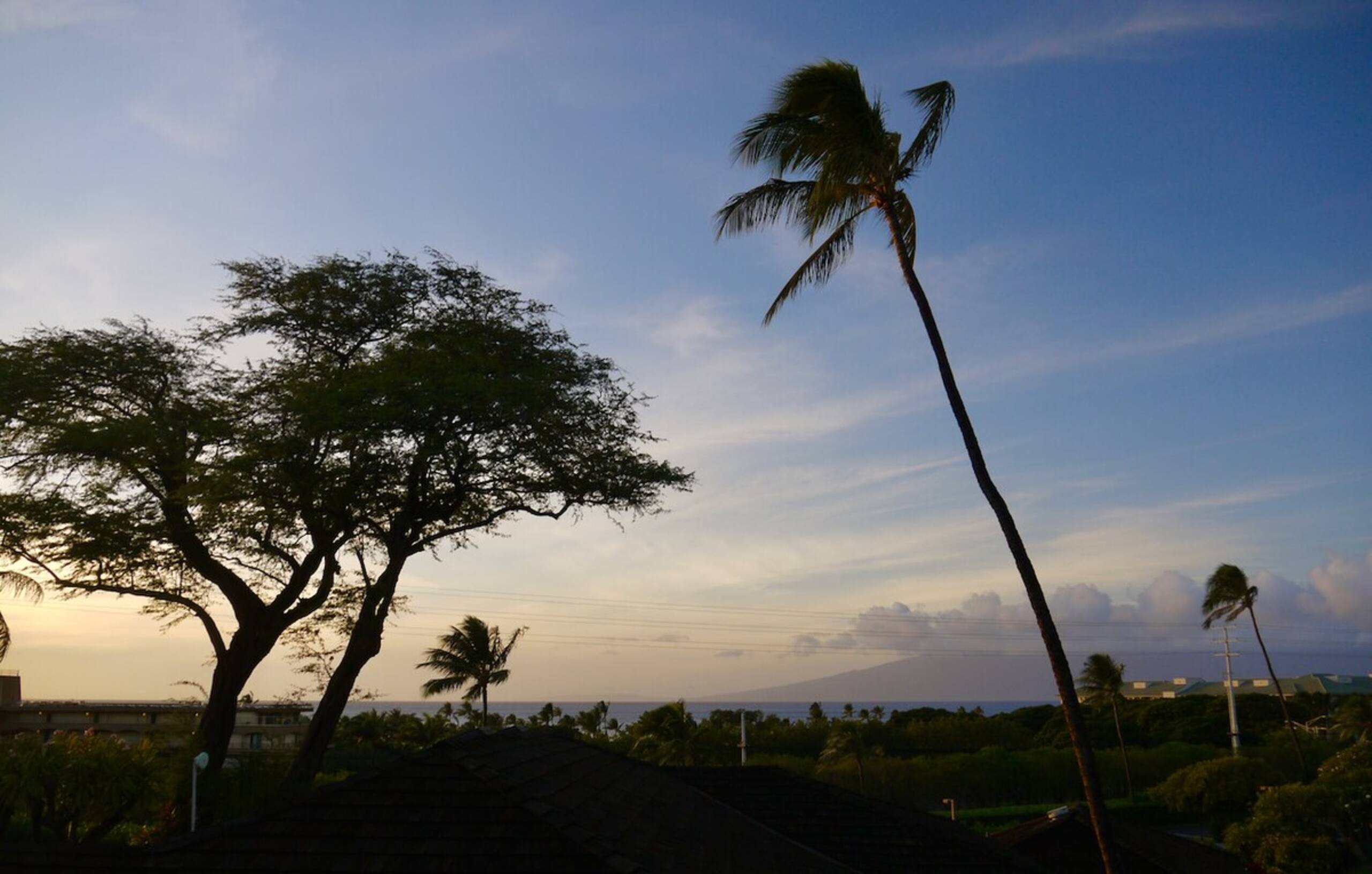 Charming Kaanapali cottage with ocean view - Photo 7