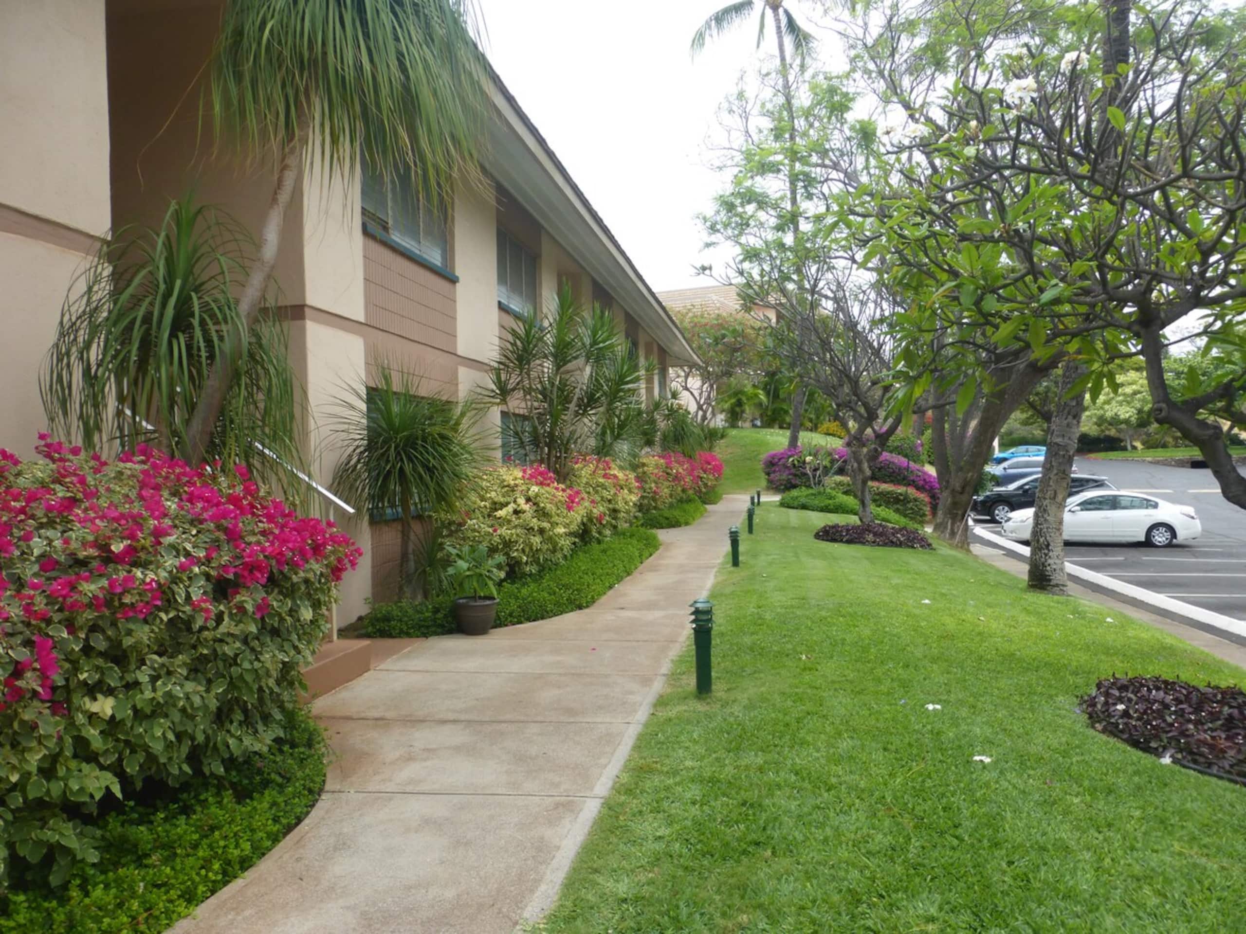 Maui Condo across fm Kam 2 in HOTEL Zoned Resort - Photo 31
