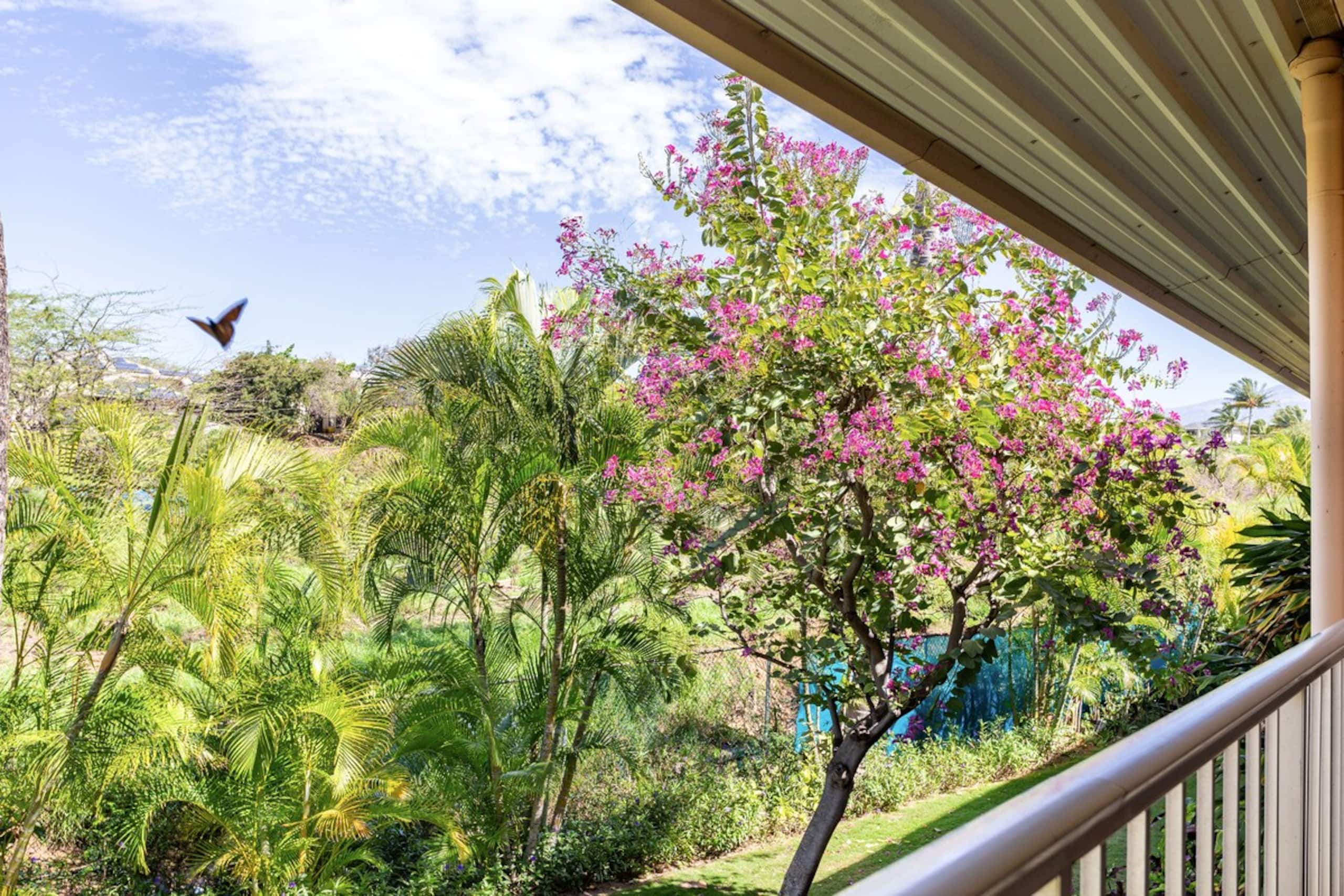 Maui Condo across fm Kam 2 in HOTEL Zoned Resort - Photo 29