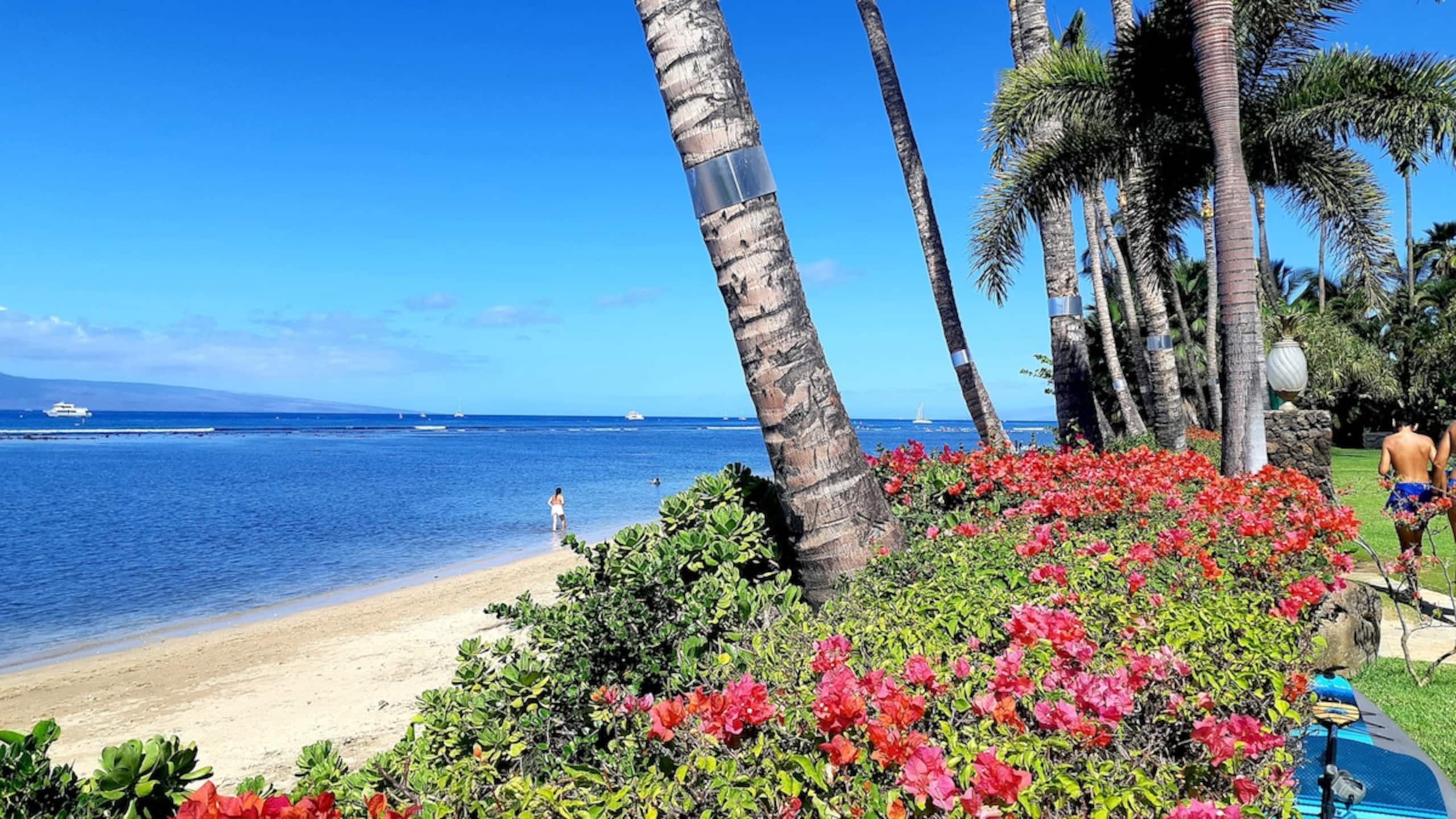 Lahaina Shores Beach Resort 406 Mountain View - Main photo