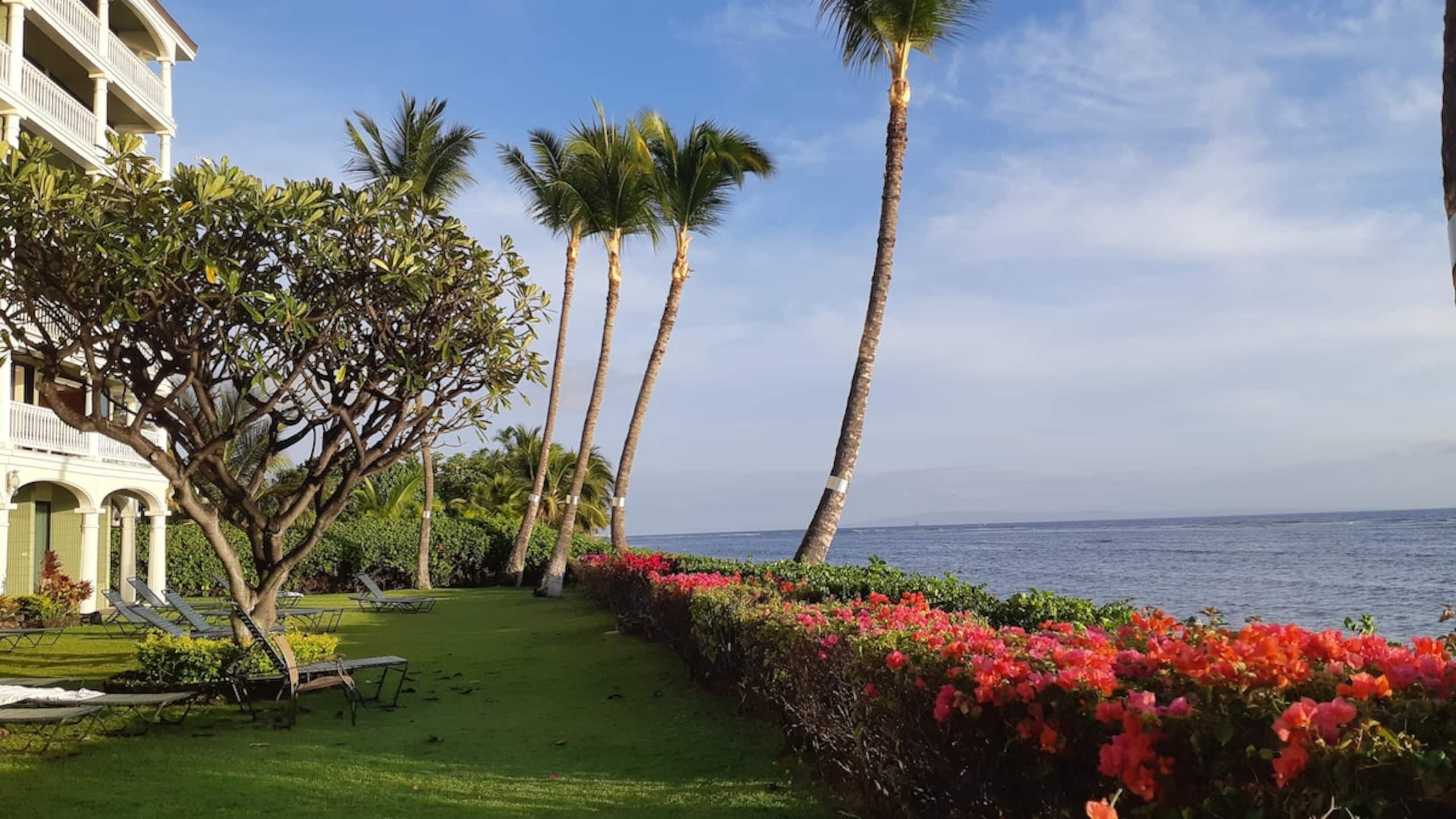 Lahaina Shores Beach Resort 406 Mountain View - Photo 3