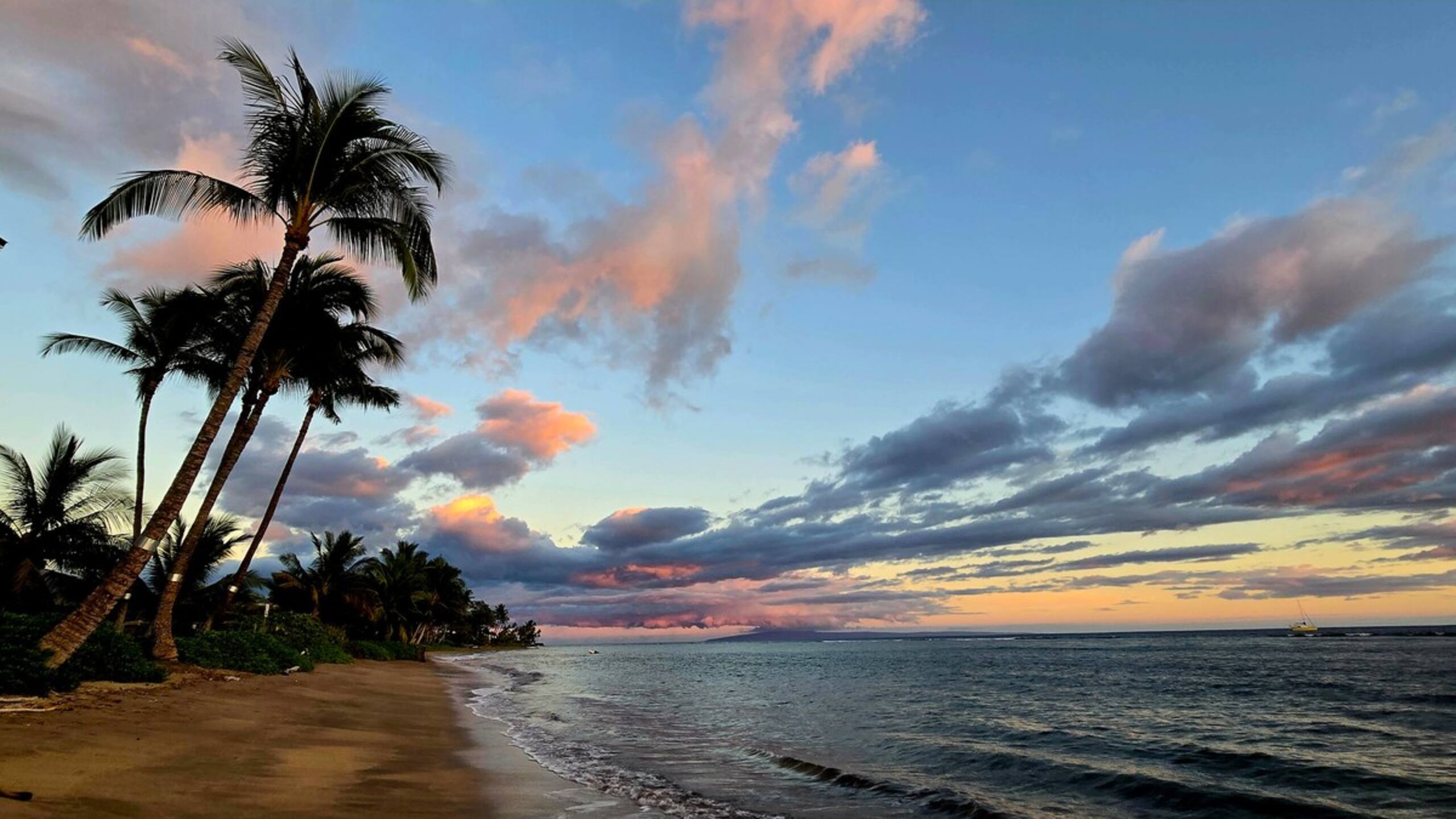 Lahaina Shores Beach Resort 406 Mountain View - Photo 30