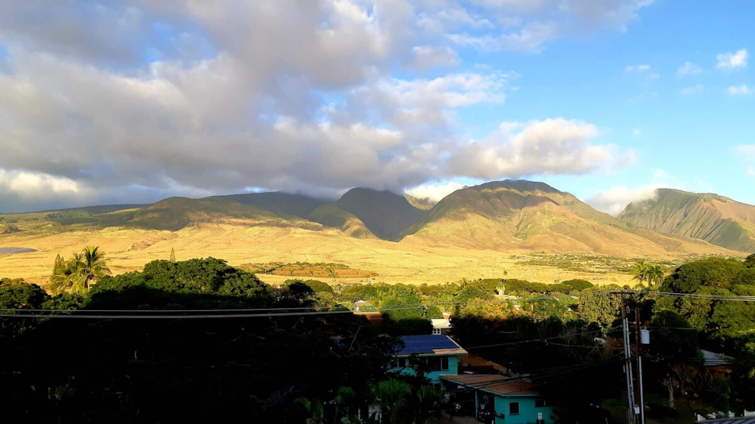 Lahaina Shores Beach Resort 406 Mountain View - Photo 15