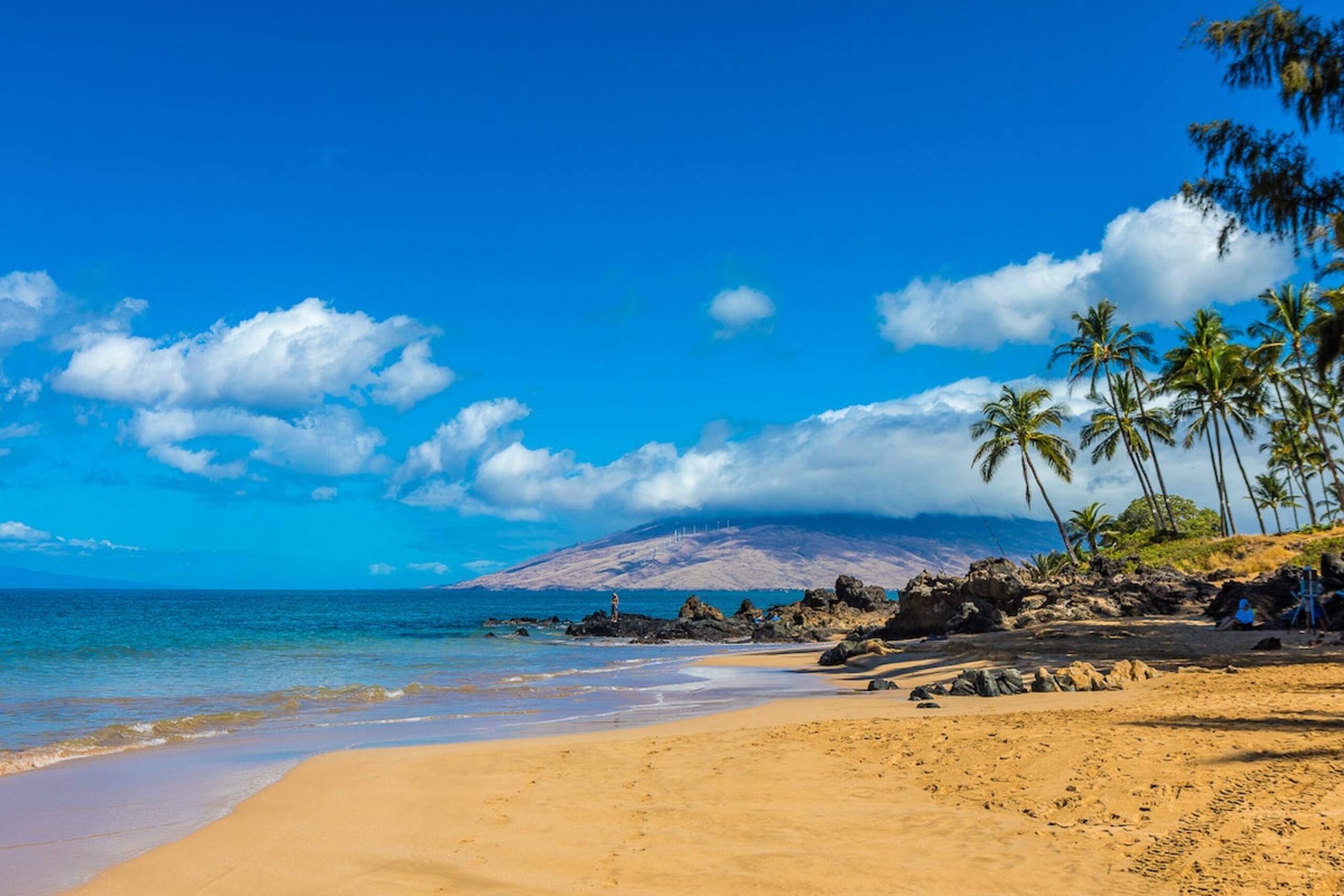 Incredible Ocean View Centrally Located KBR610 - Photo 48