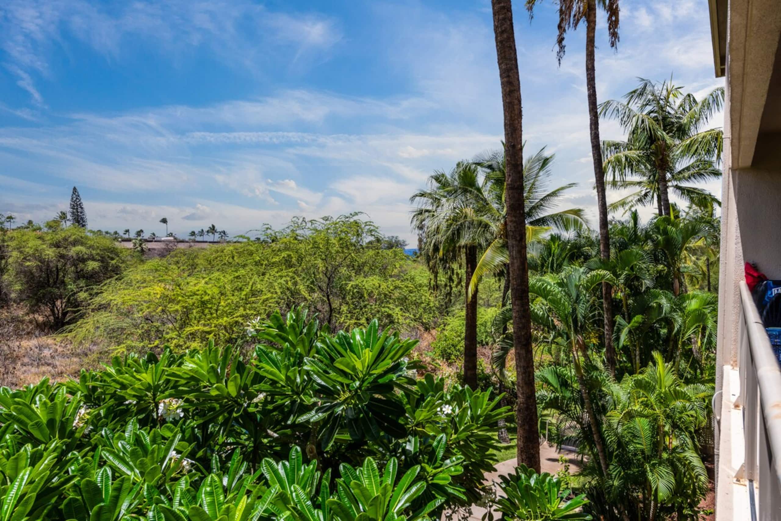Maui Banyan 1bd/2ba, AC, quite, steps to the beach - Photo 15