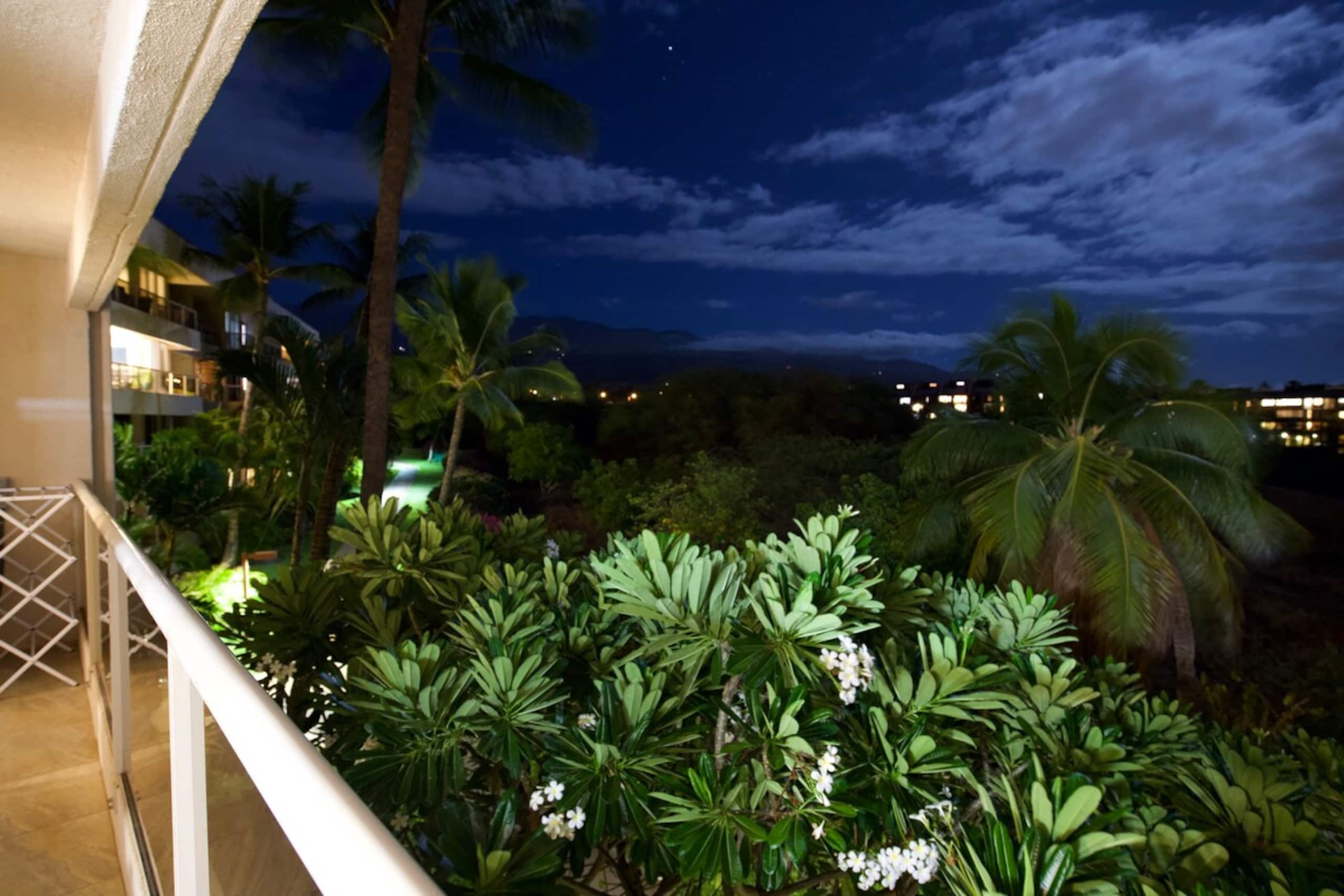 Maui Banyan 1bd/2ba, AC, quite, steps to the beach - Photo 16