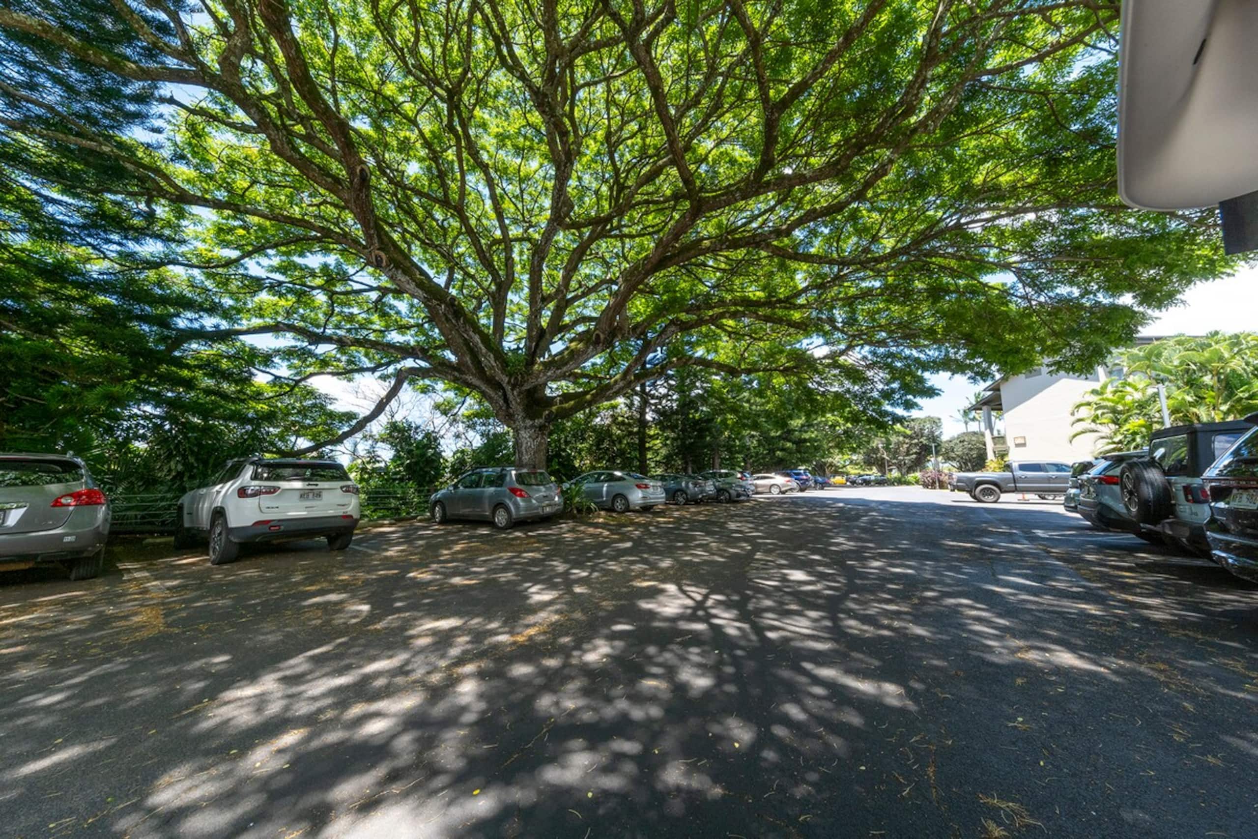 Two Bedroom Condo at Hanalei Bay Resort - Photo 55