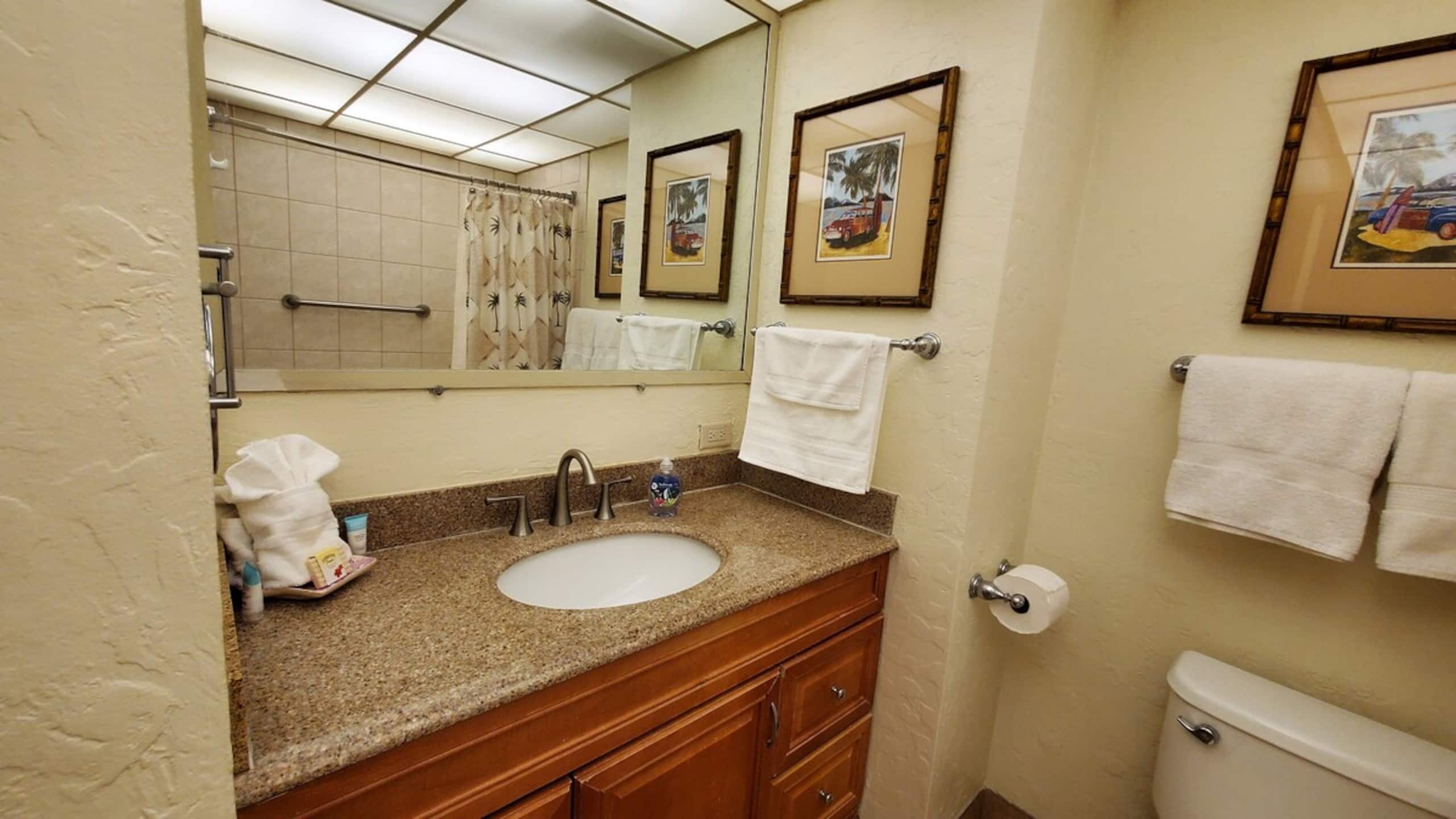 KA'ANAPALI SHORES, GREAT LOCATION & OCEANVIEW - Photo 14