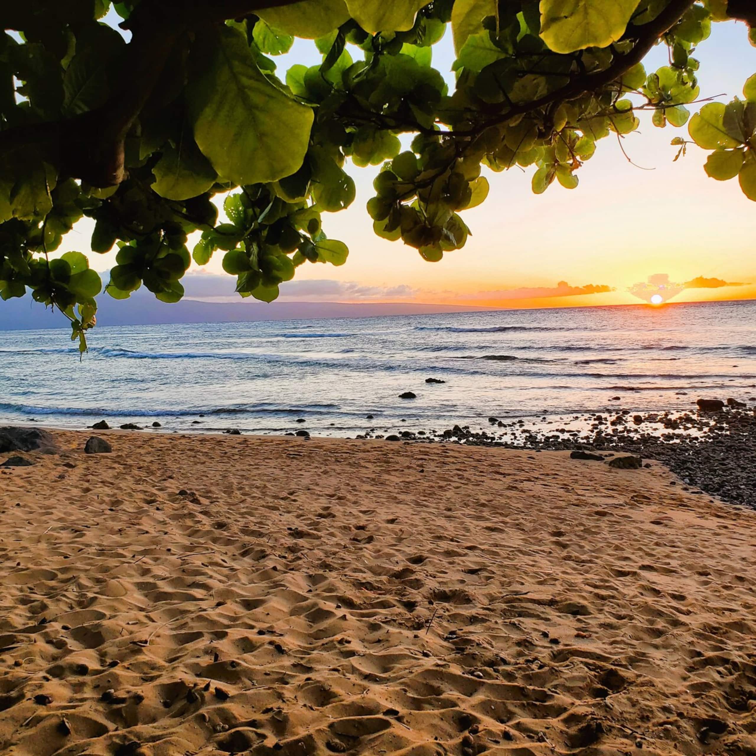 KA'ANAPALI SHORES, GREAT LOCATION & OCEANVIEW - Photo 4